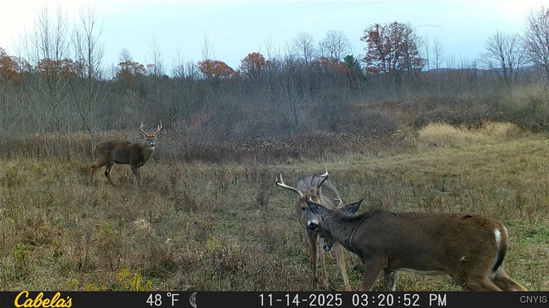 Property at Two Rod Road, Urbana, NY 14810 24