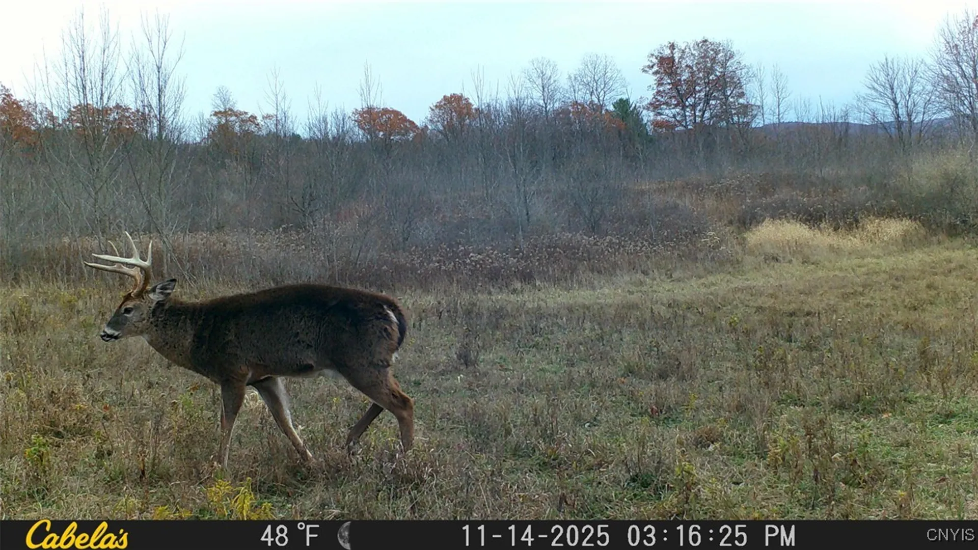 Property at Two Rod Road, Urbana, NY 14810 25