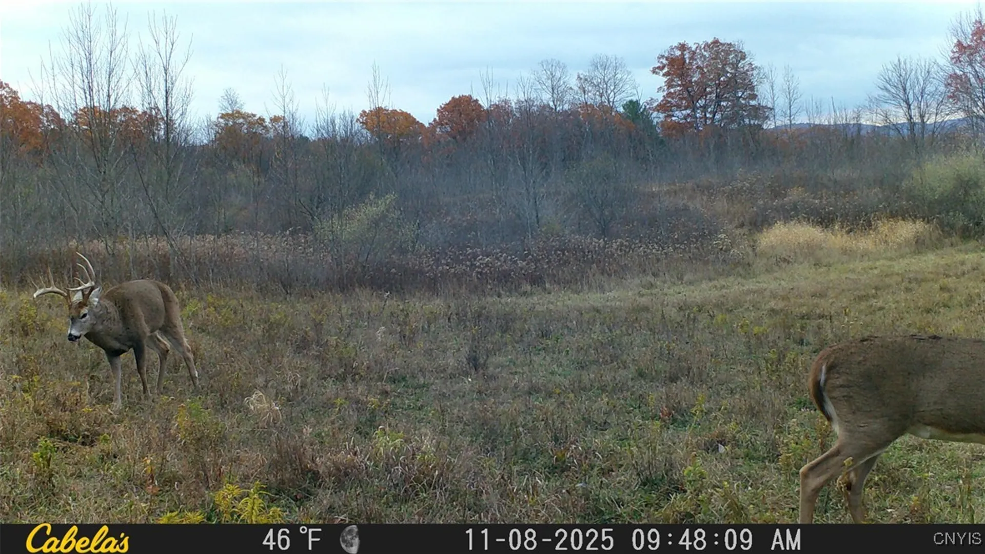 Property at Two Rod Road, Urbana, NY 14810 26