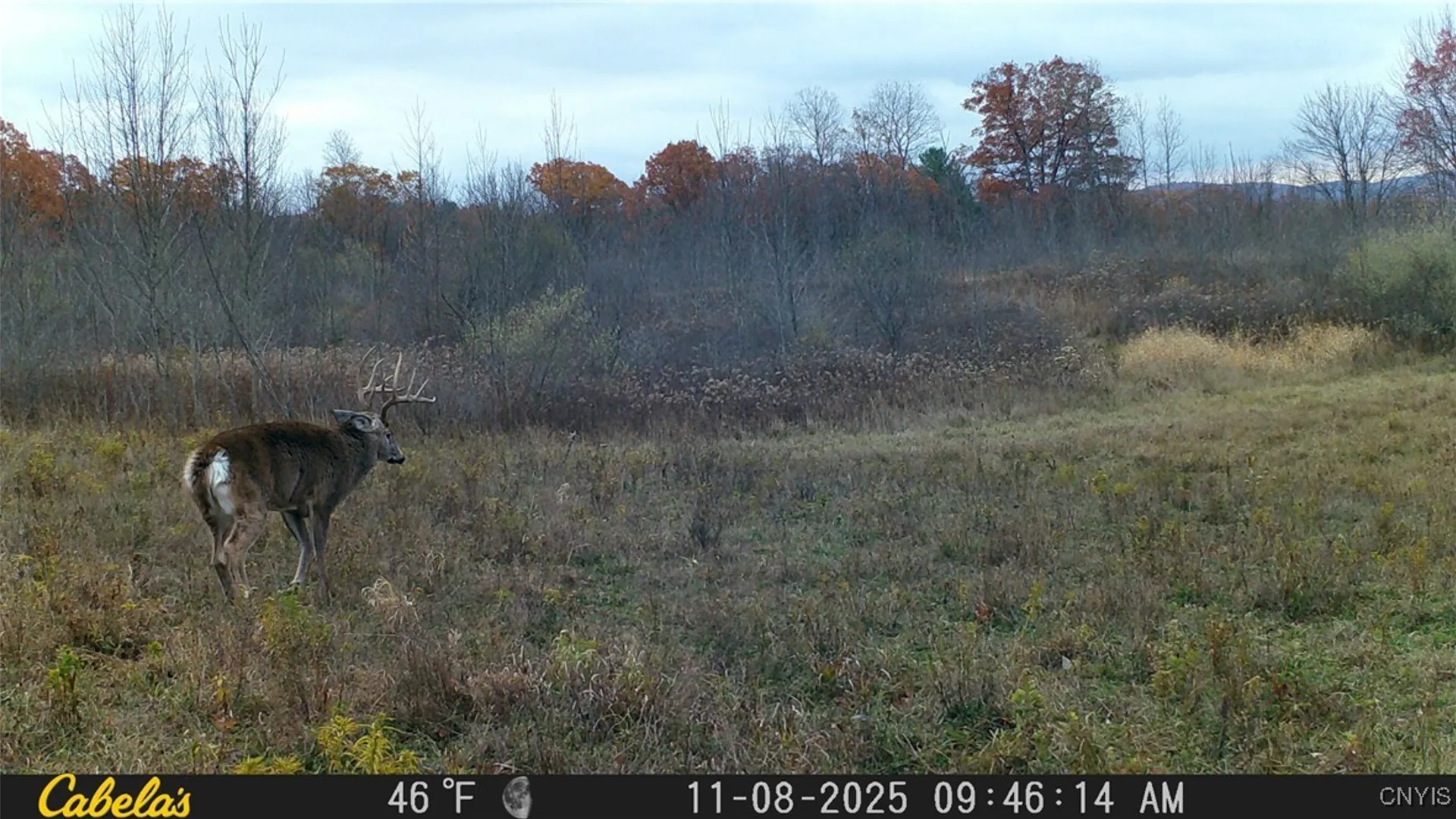 Property at Two Rod Road, Urbana, NY 14810 27