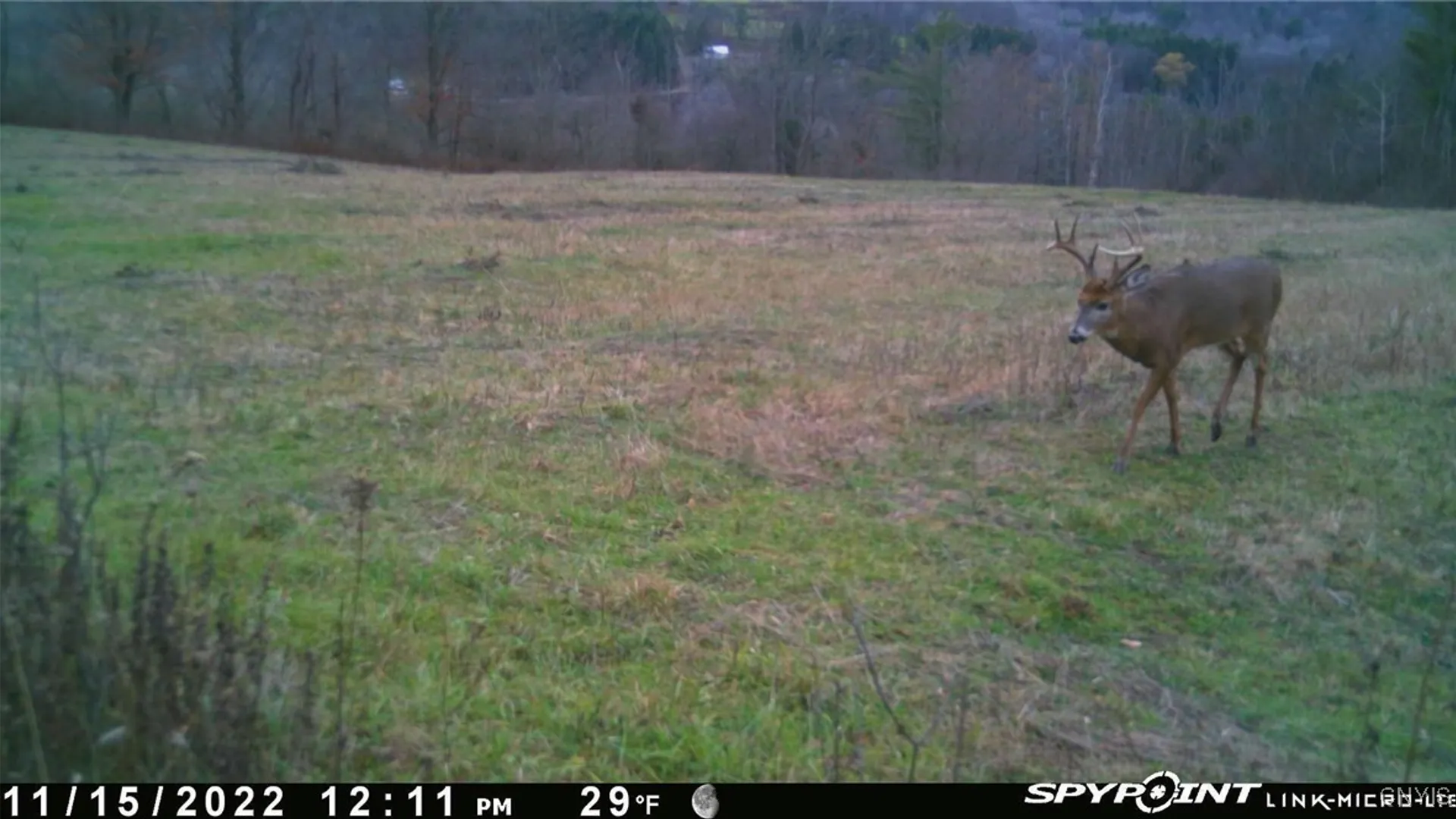 Property at Two Rod Road, Urbana, NY 14810 28