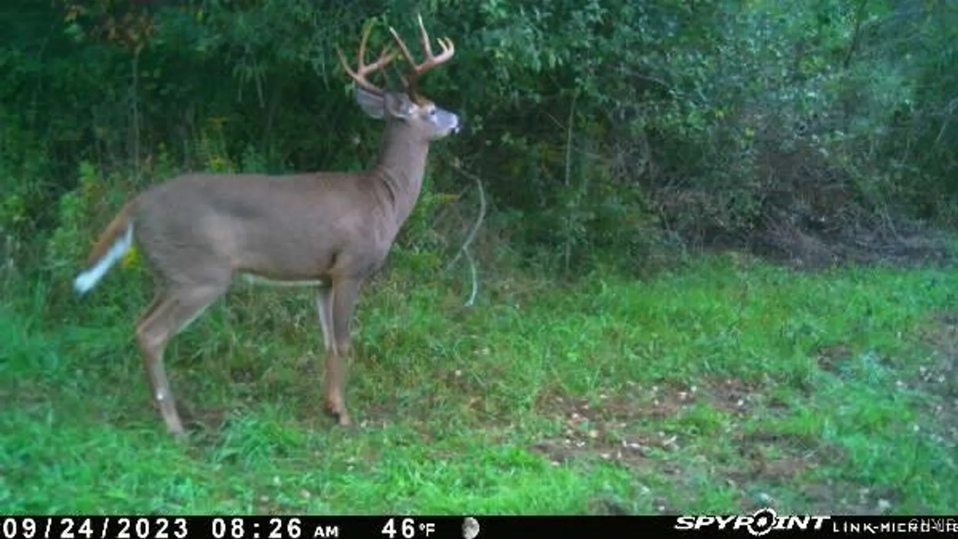 Property at Two Rod Road, Urbana, NY 14810 29