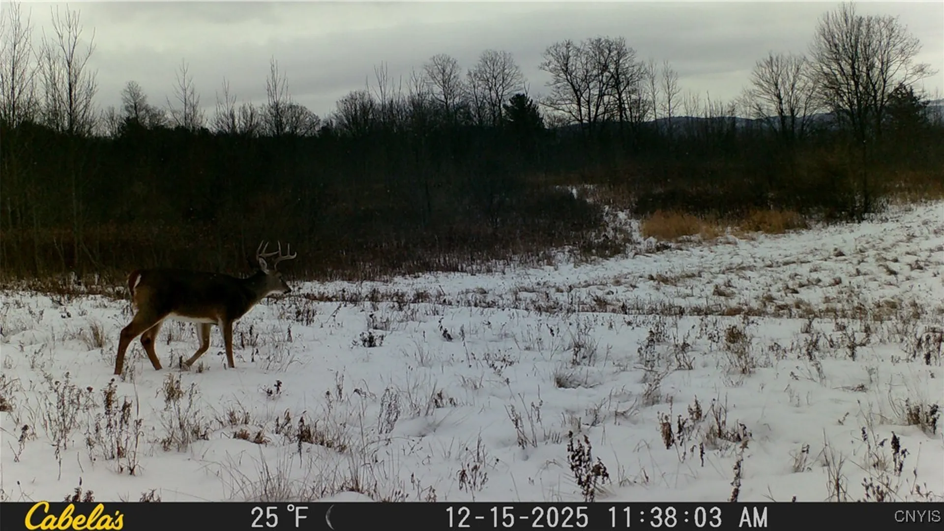 Property at Two Rod Road, Urbana, NY 14810 30