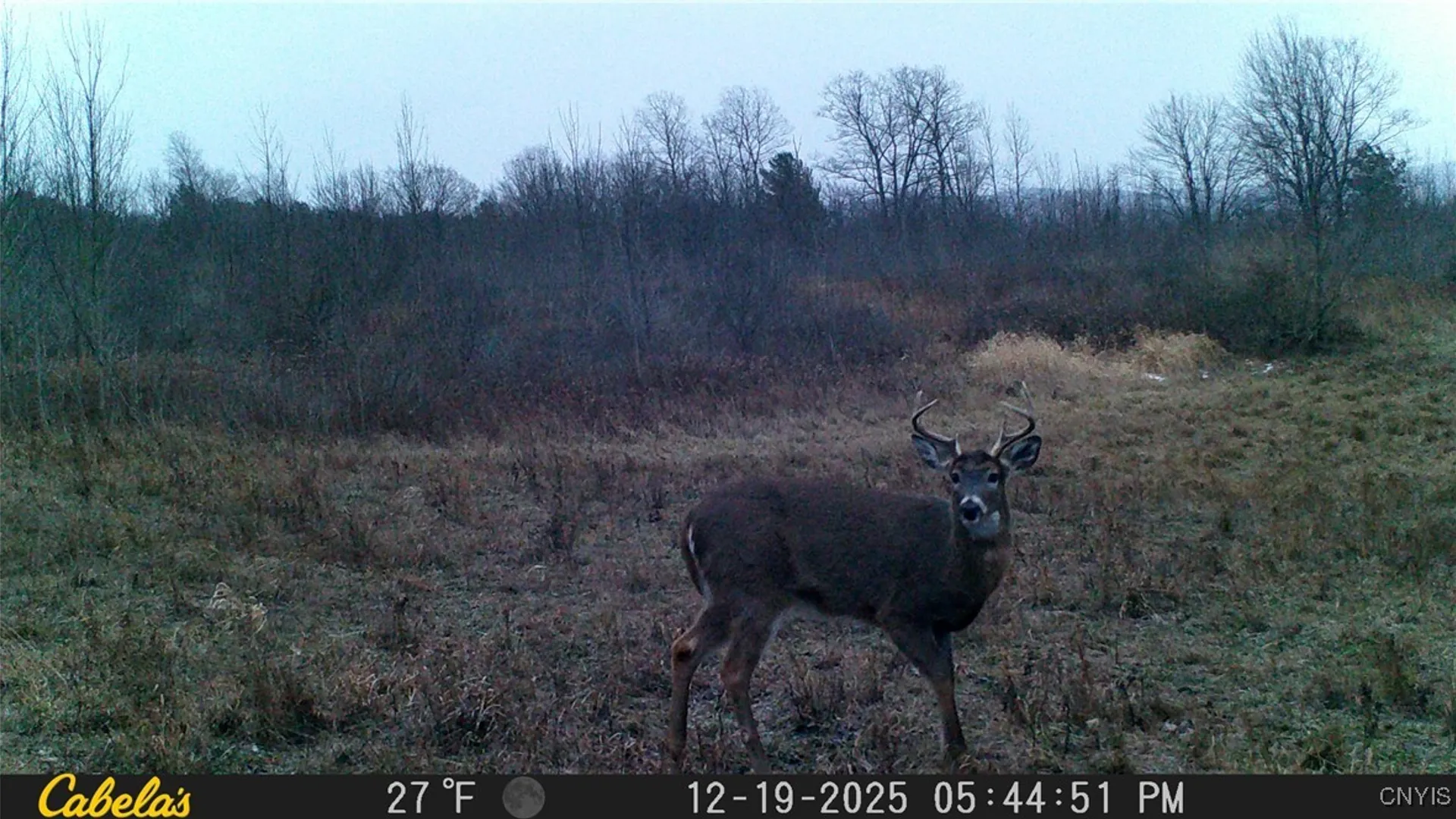 Property at Two Rod Road, Urbana, NY 14810 31