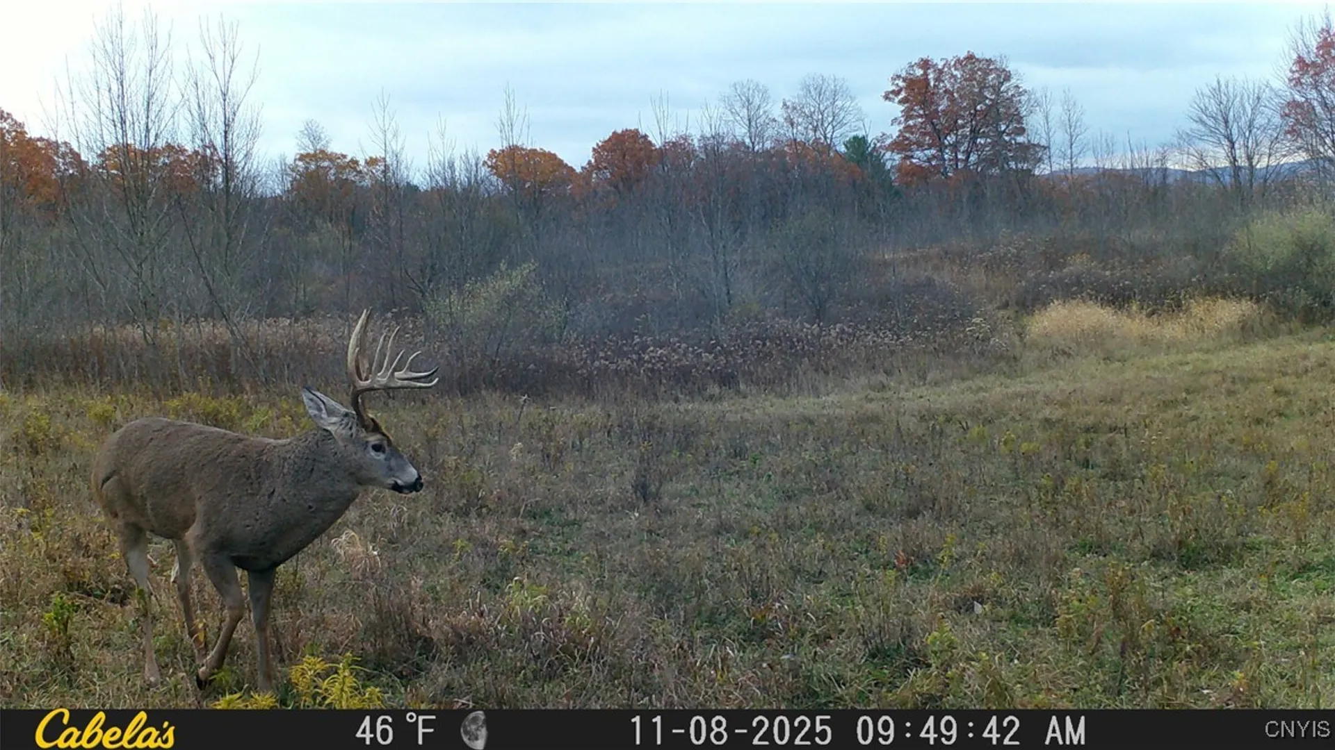 Property at Two Rod Road, Urbana, NY 14810 33