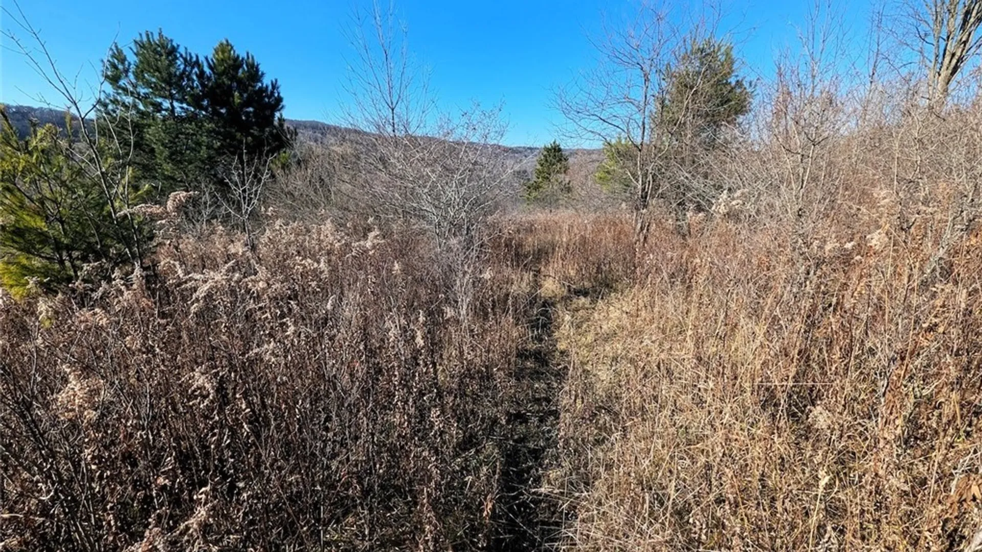 Property at Two Rod Road, Urbana, NY 14810 4