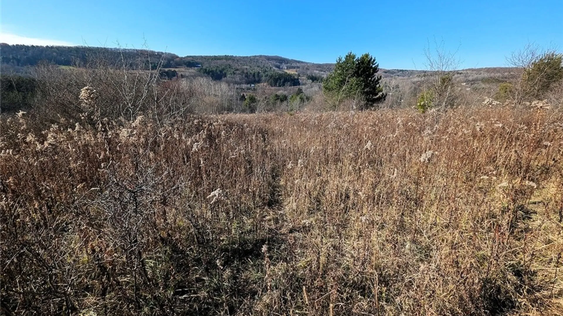 Property at Two Rod Road, Urbana, NY 14810 5