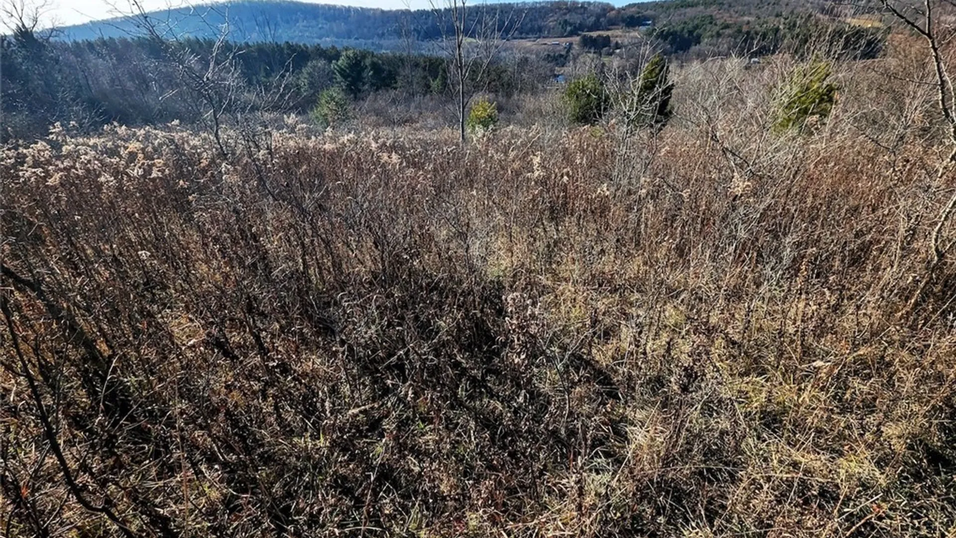 Property at Two Rod Road, Urbana, NY 14810 7