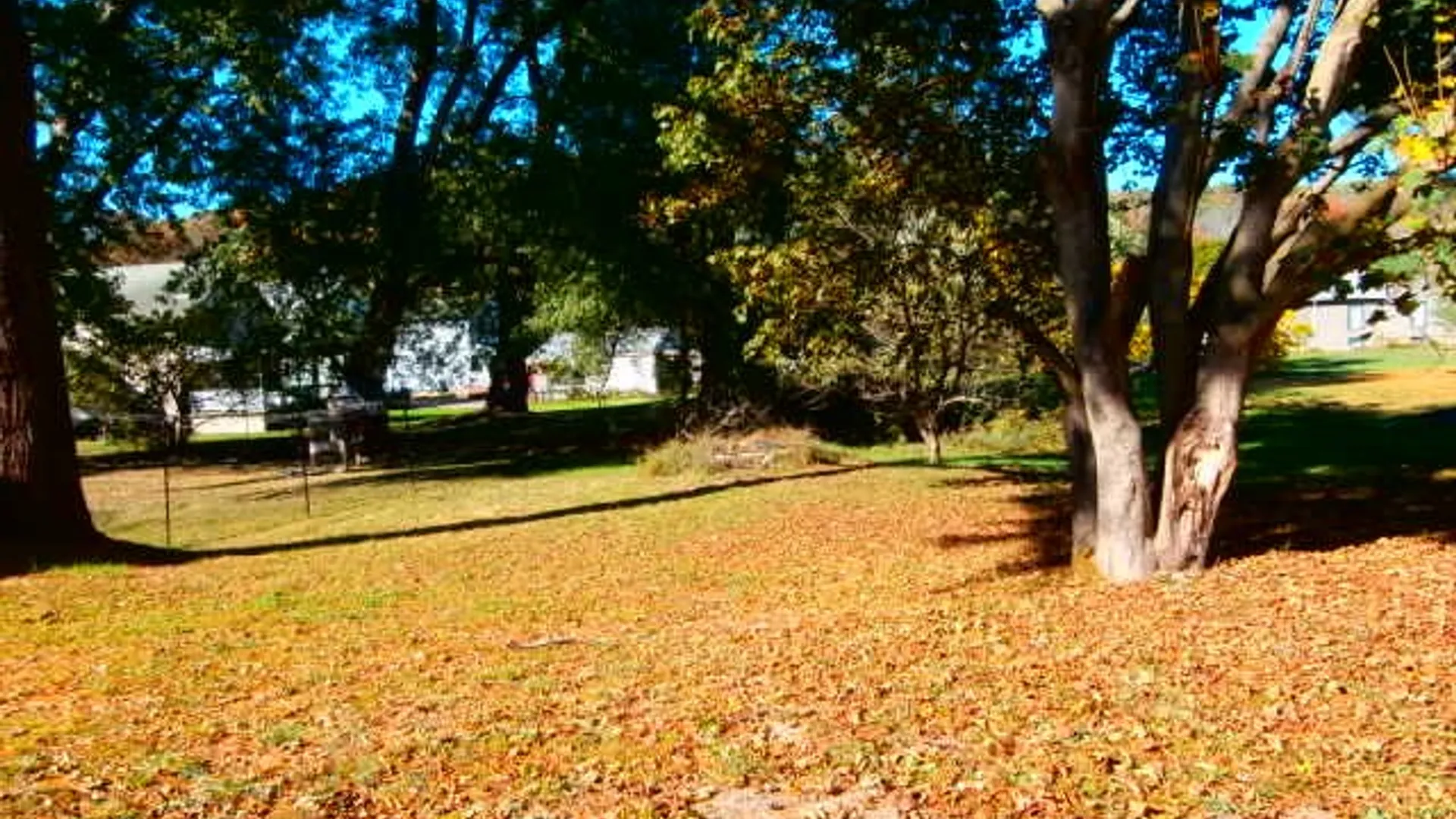 Property at 169 Broad Street, Wellsville, NY 14895 7