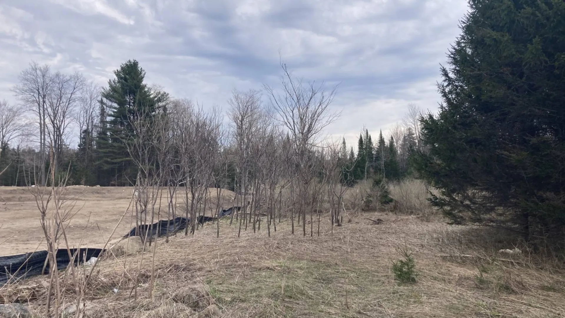 Property at 11333 St Rt 12, Boonville, NY 13309 6