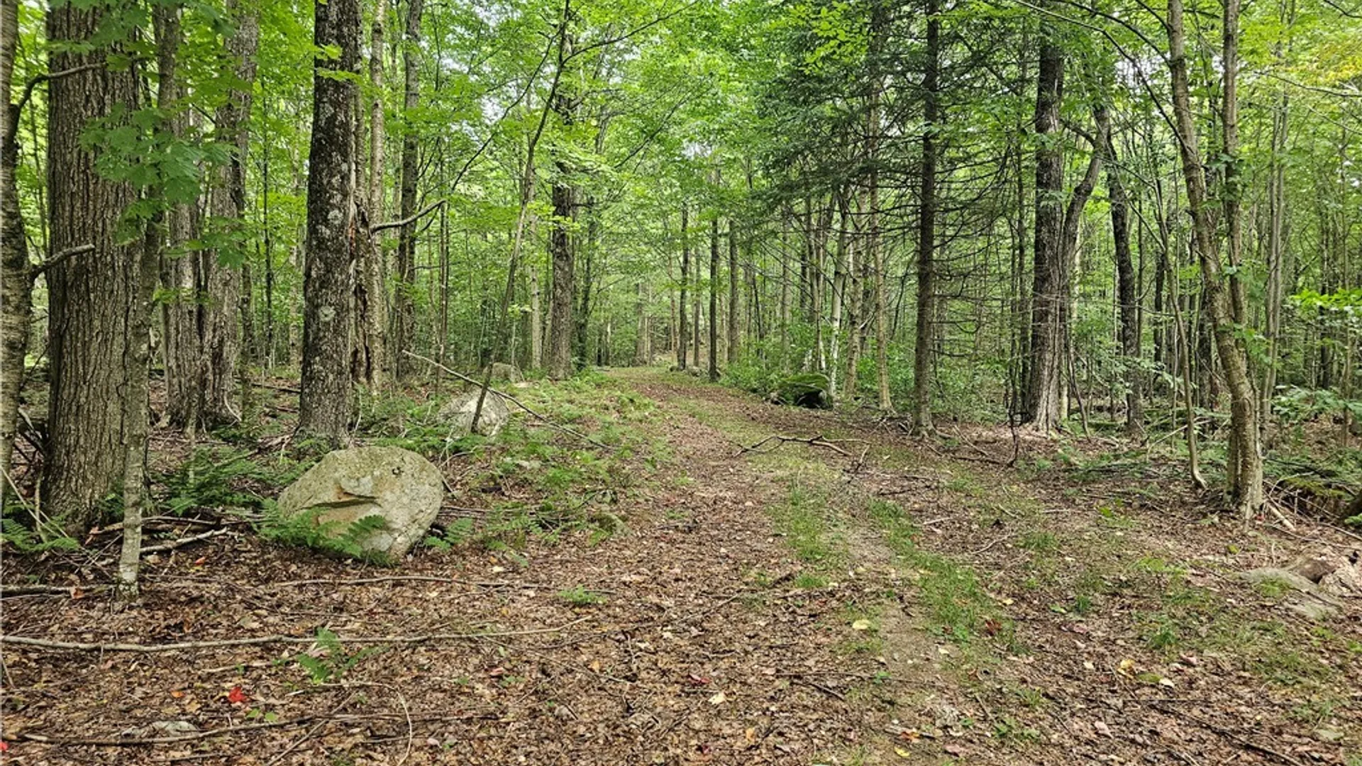 Property at 2765 State Highway 72, Hopkinton, NY 13676 10