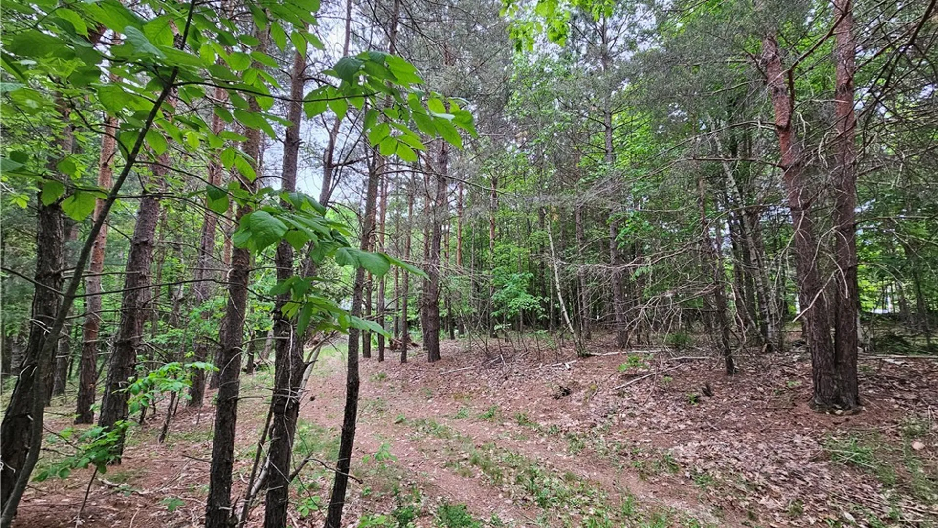 Property at 2765 State Highway 72, Hopkinton, NY 13676 11