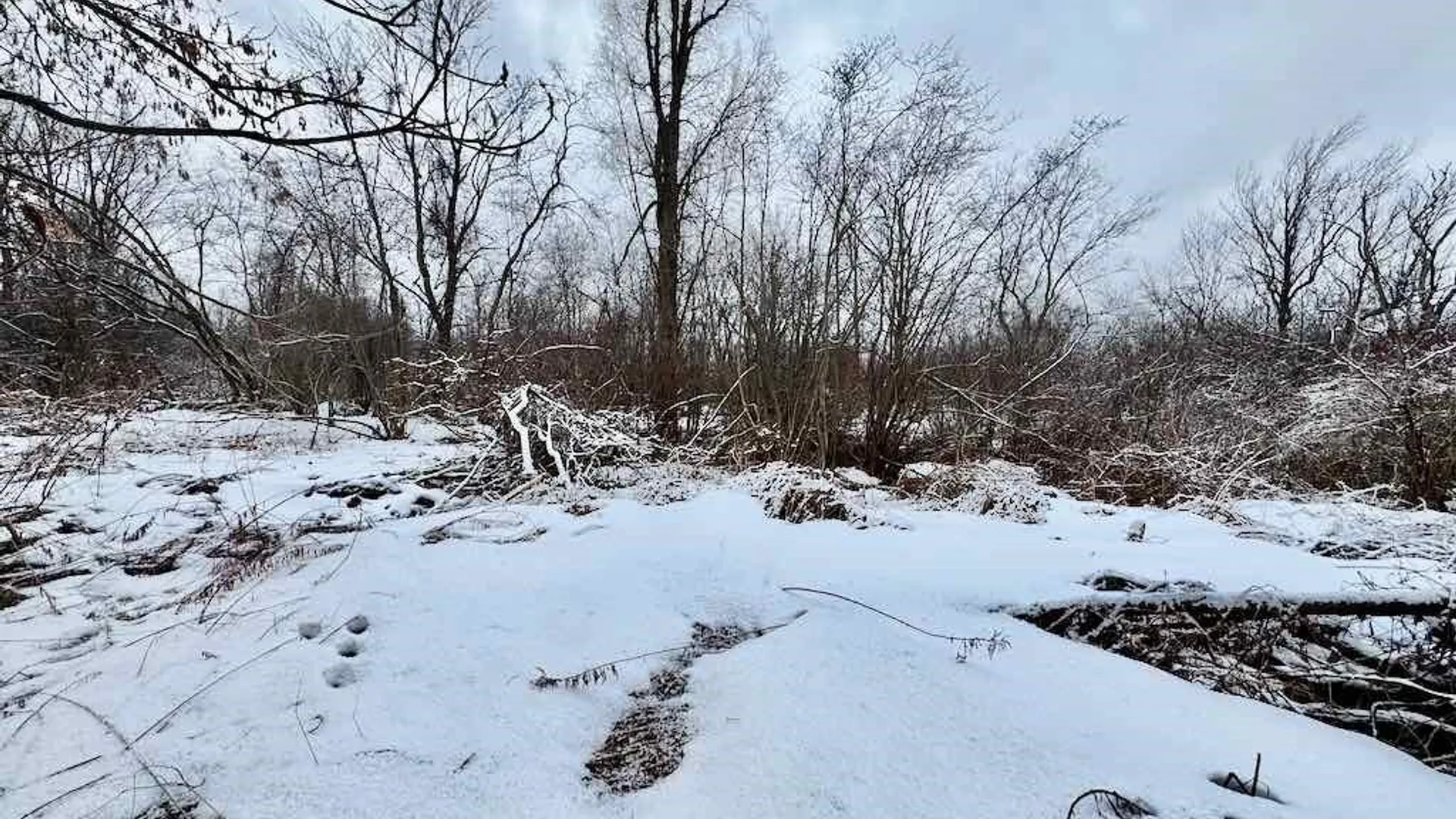 Property at 15590 Co Rt 91, Ellisburg, NY 13636 11