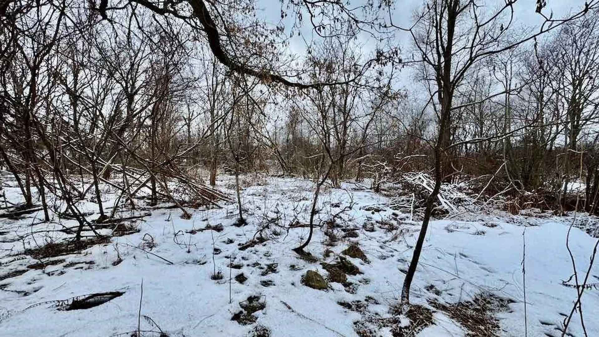 Property at 15590 Co Rt 91, Ellisburg, NY 13636 9