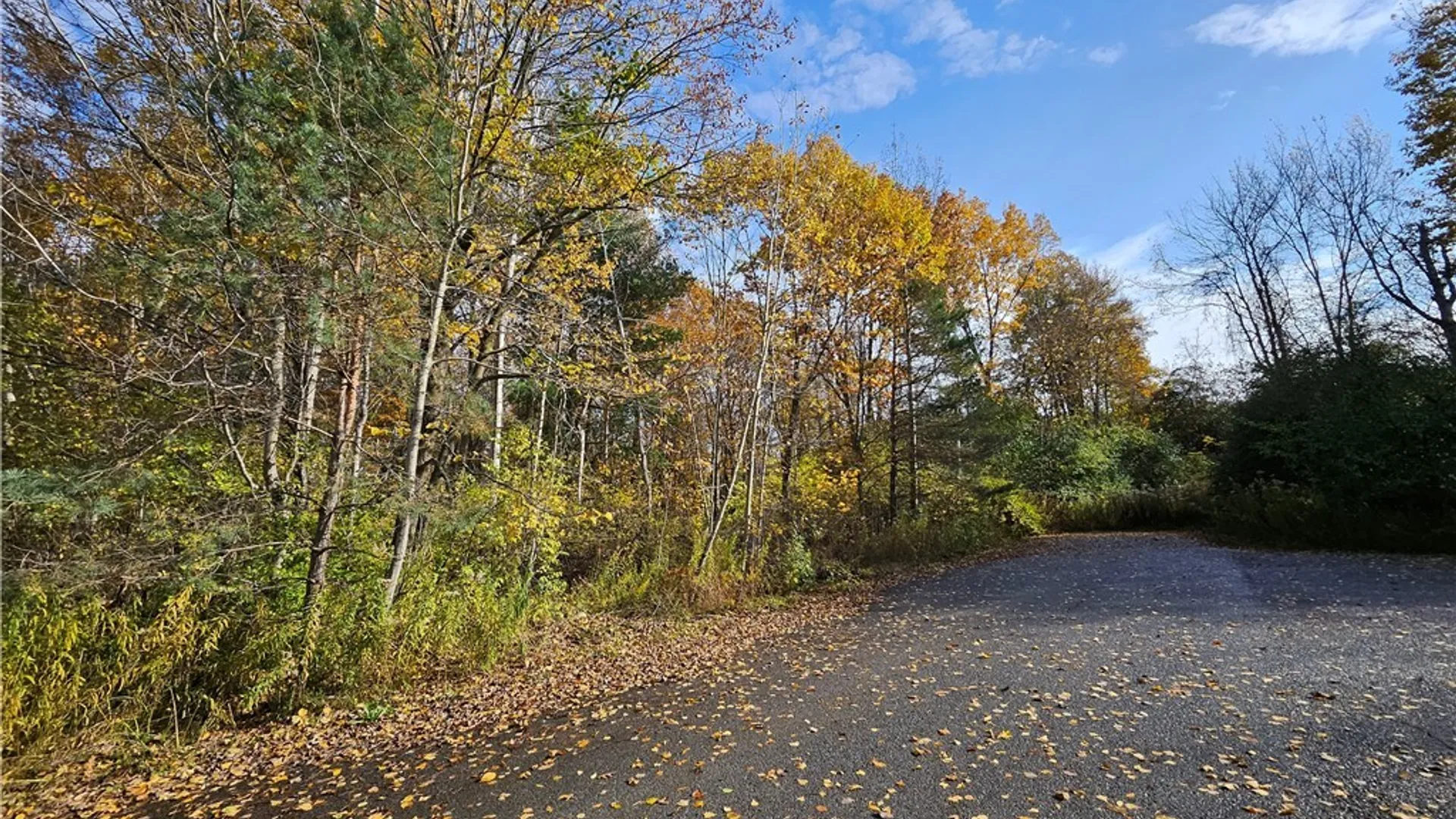 Property at Birch Lane, Clayton, NY 13624 10