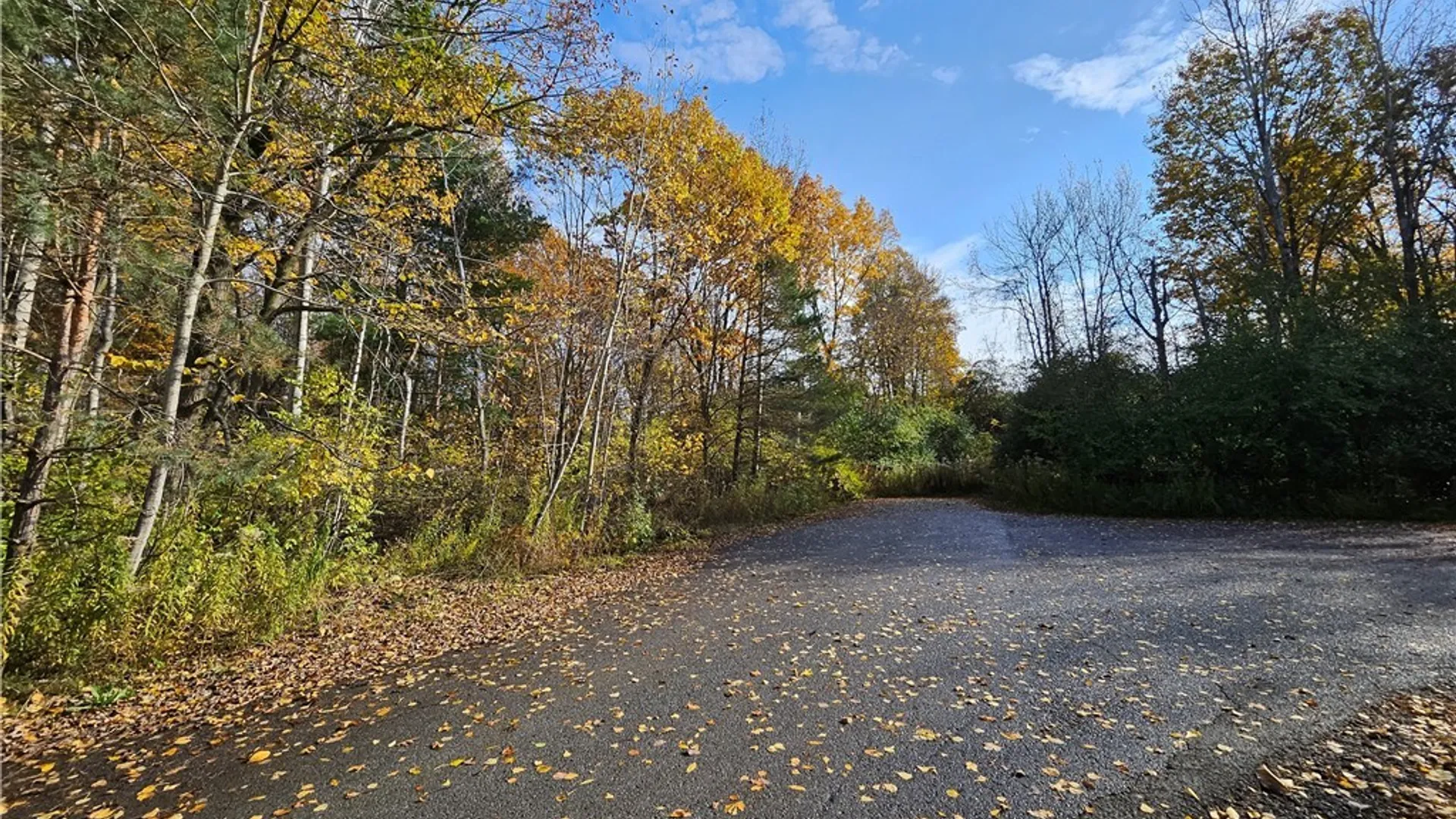 Property at Birch Lane, Clayton, NY 13624 11