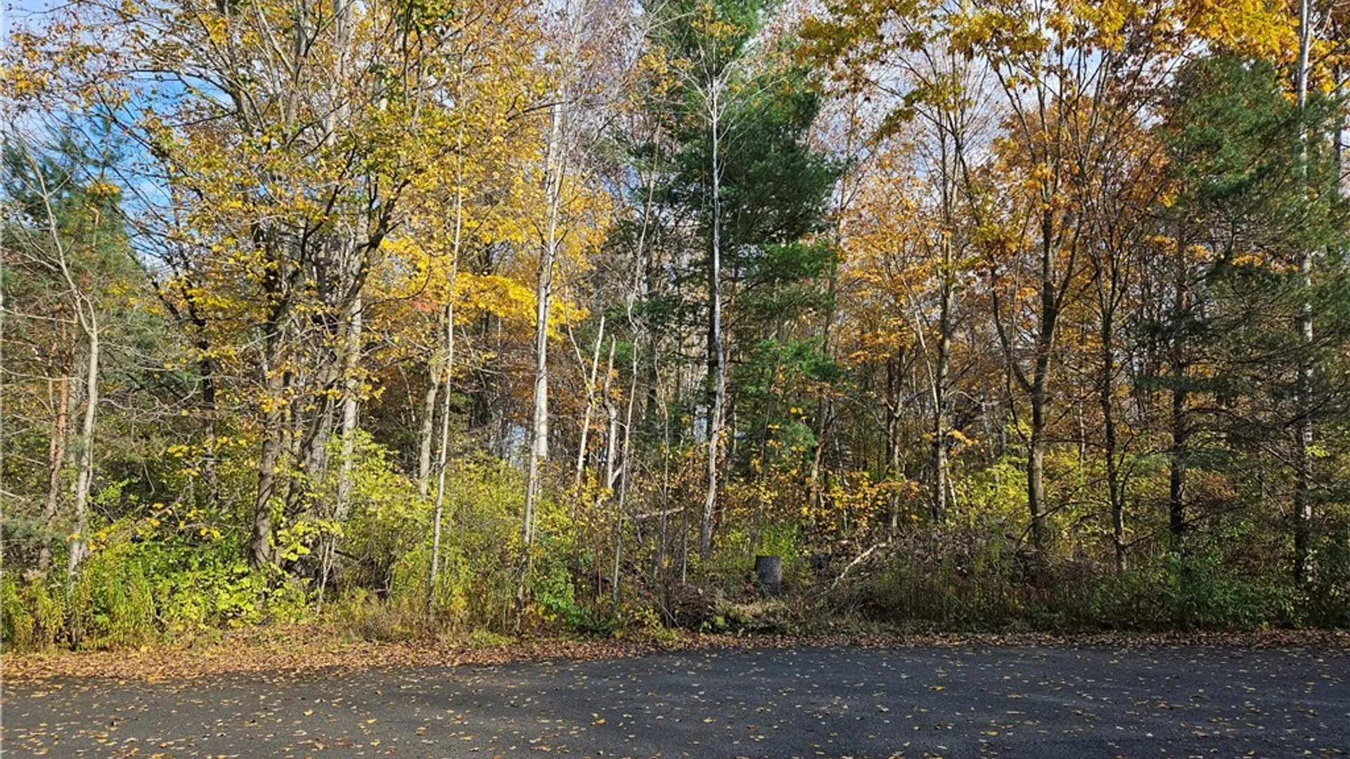 Property at Birch Lane, Clayton, NY 13624 2