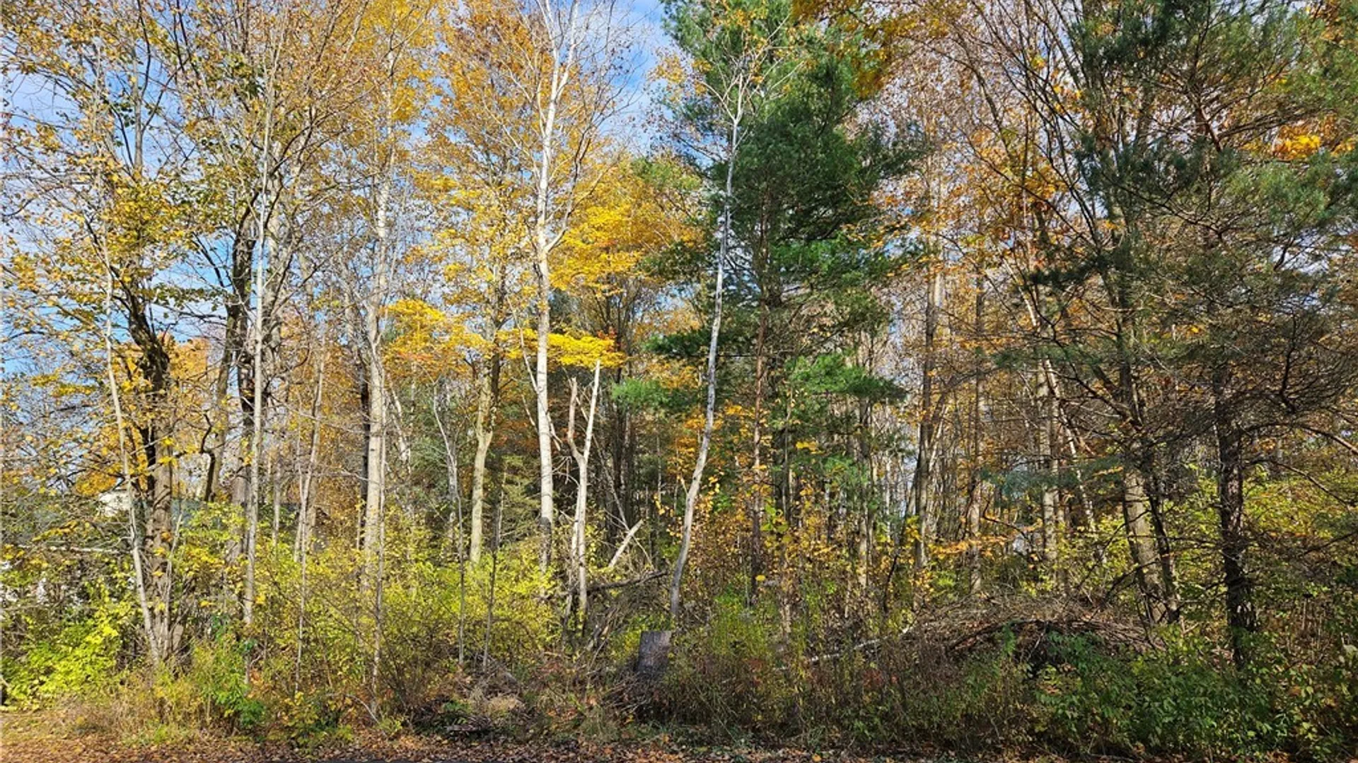 Property at Birch Lane, Clayton, NY 13624 3