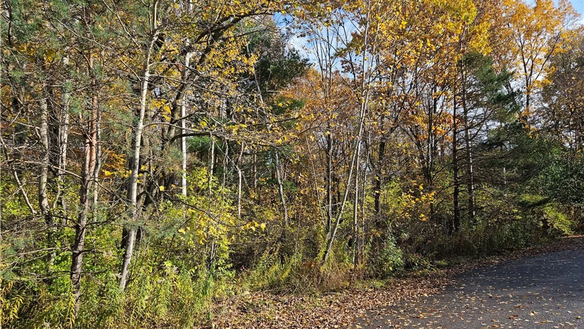 Property at Birch Lane, Clayton, NY 13624 4