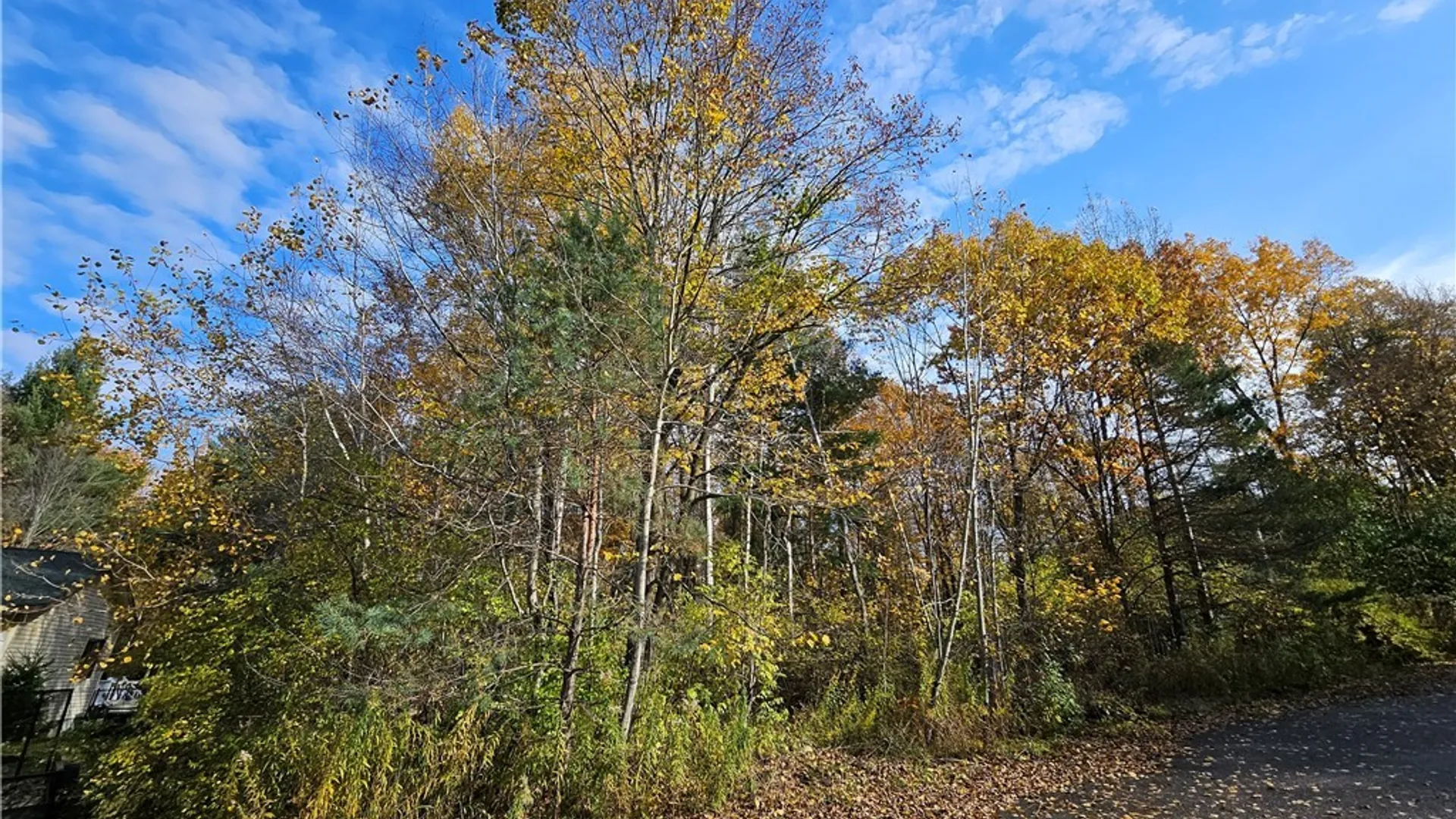 Property at Birch Lane, Clayton, NY 13624 6