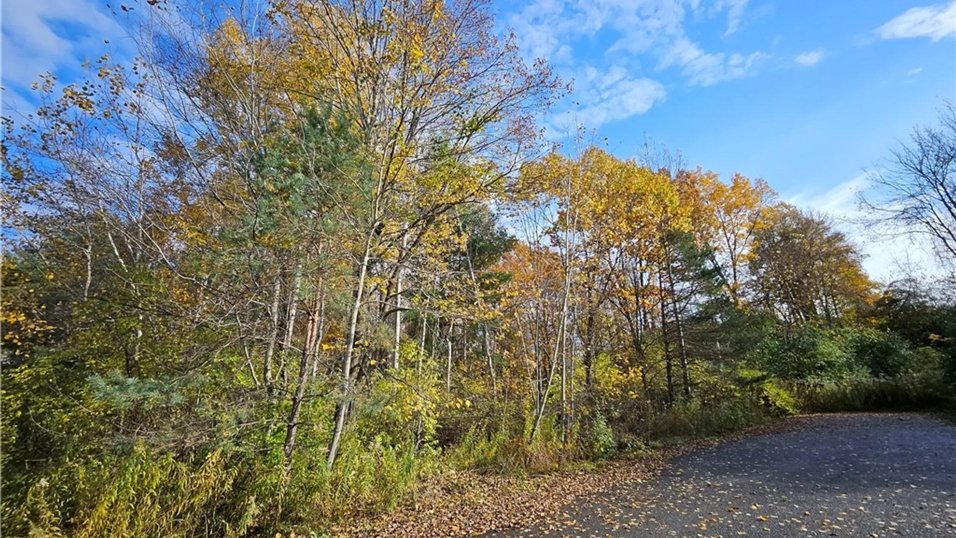 Property at Birch Lane, Clayton, NY 13624 7