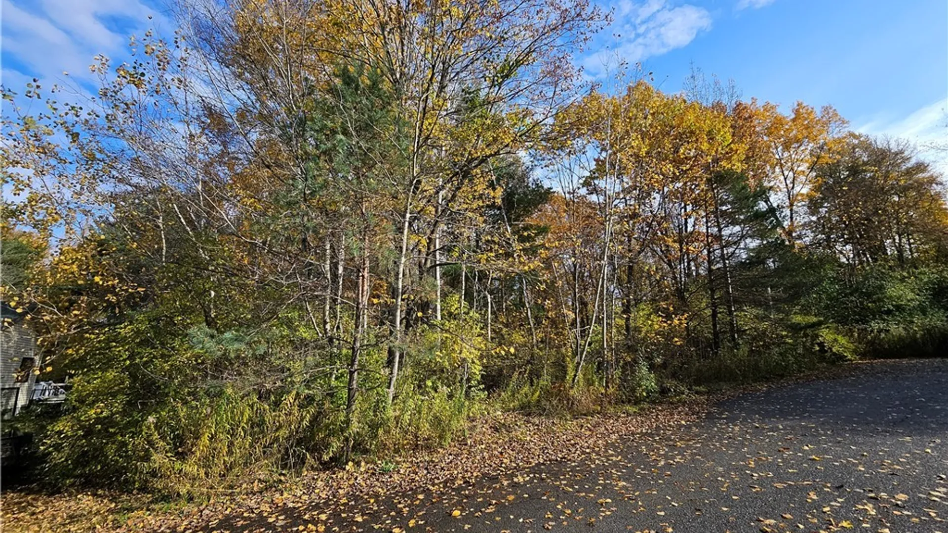 Property at Birch Lane, Clayton, NY 13624 8