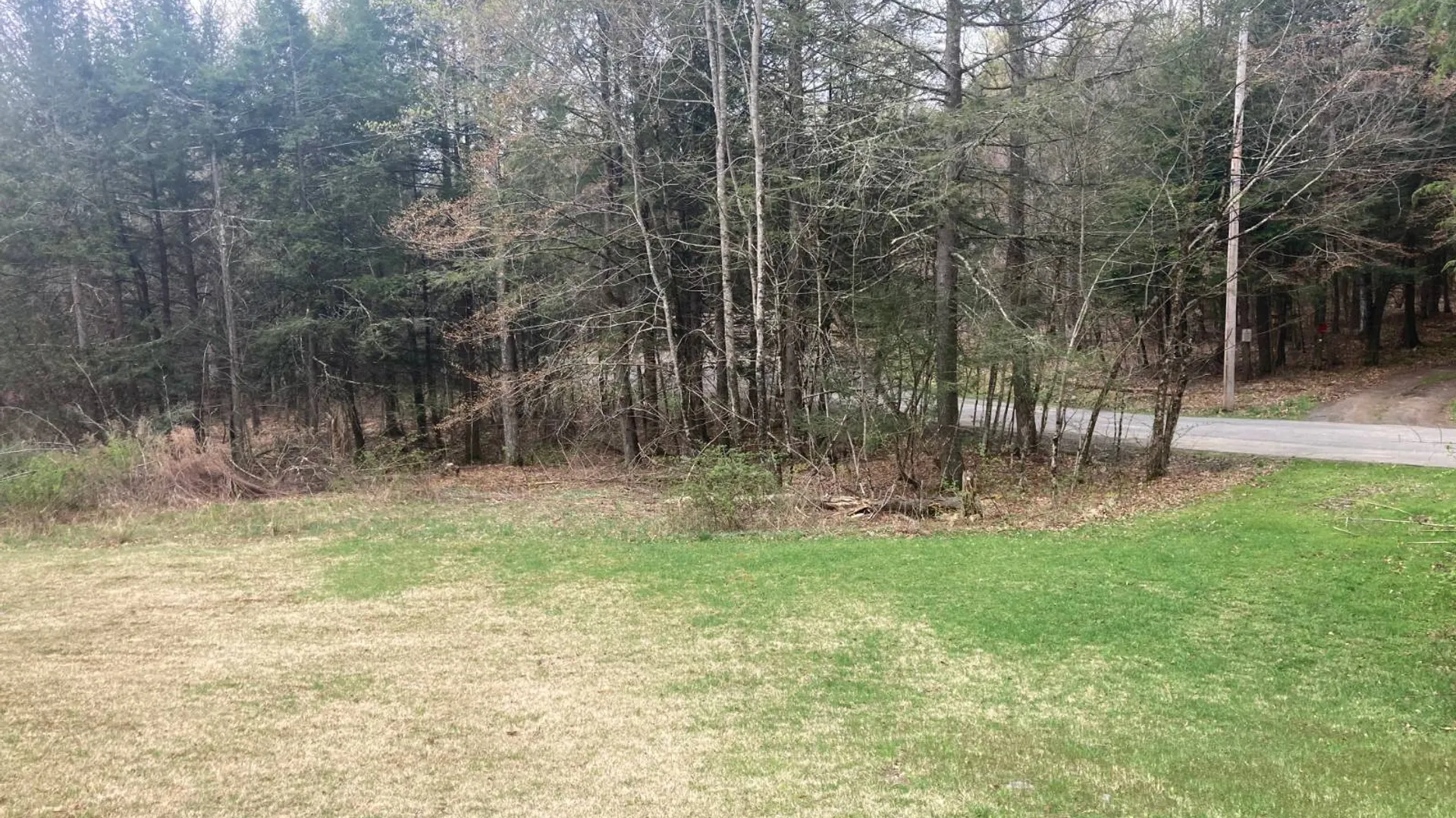 Property at 1473 Crystal Meadows Rd, Downsville, NY 13782 10