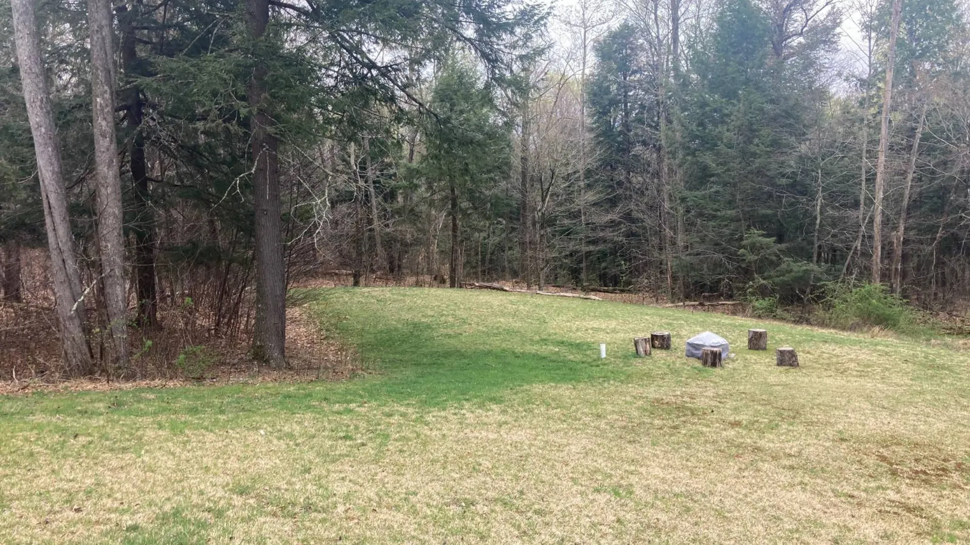 Property at 1473 Crystal Meadows Rd, Downsville, NY 13782 11