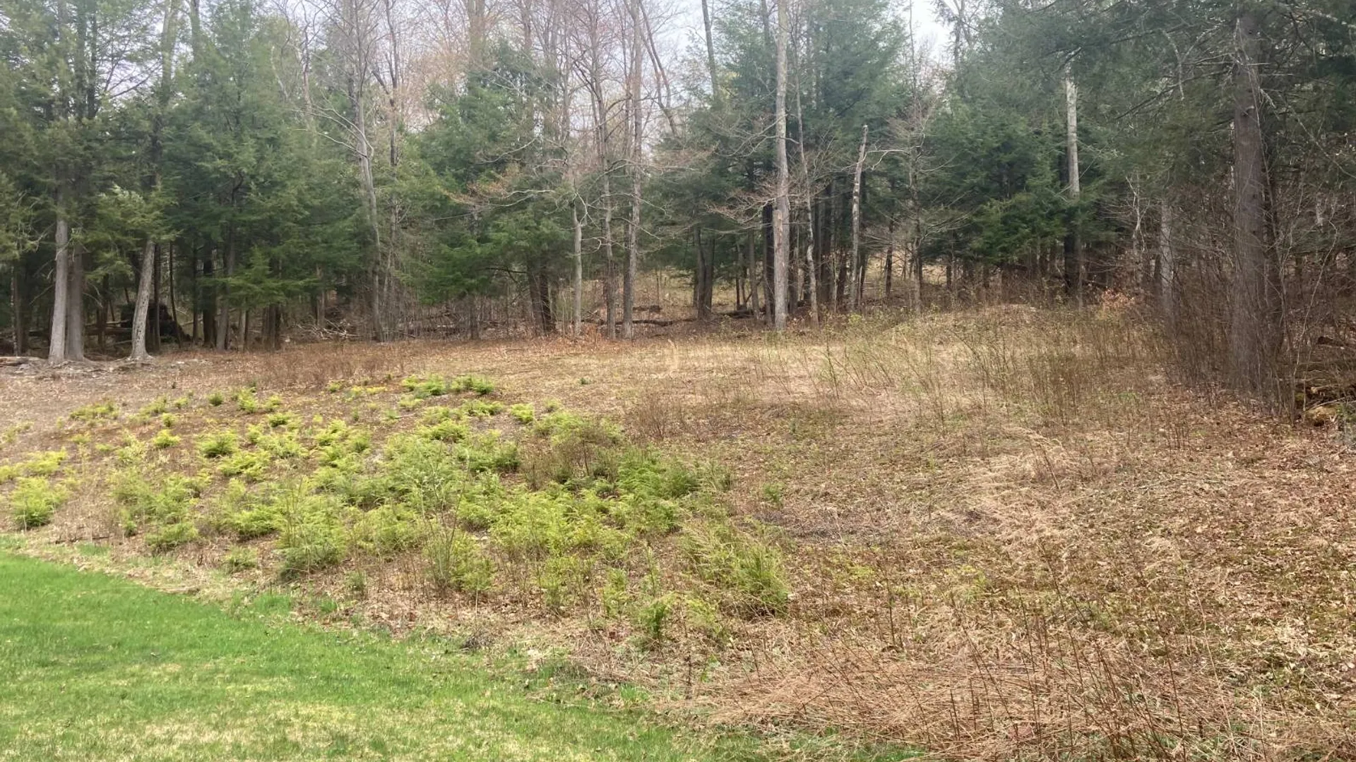 Property at 1473 Crystal Meadows Rd, Downsville, NY 13782 12