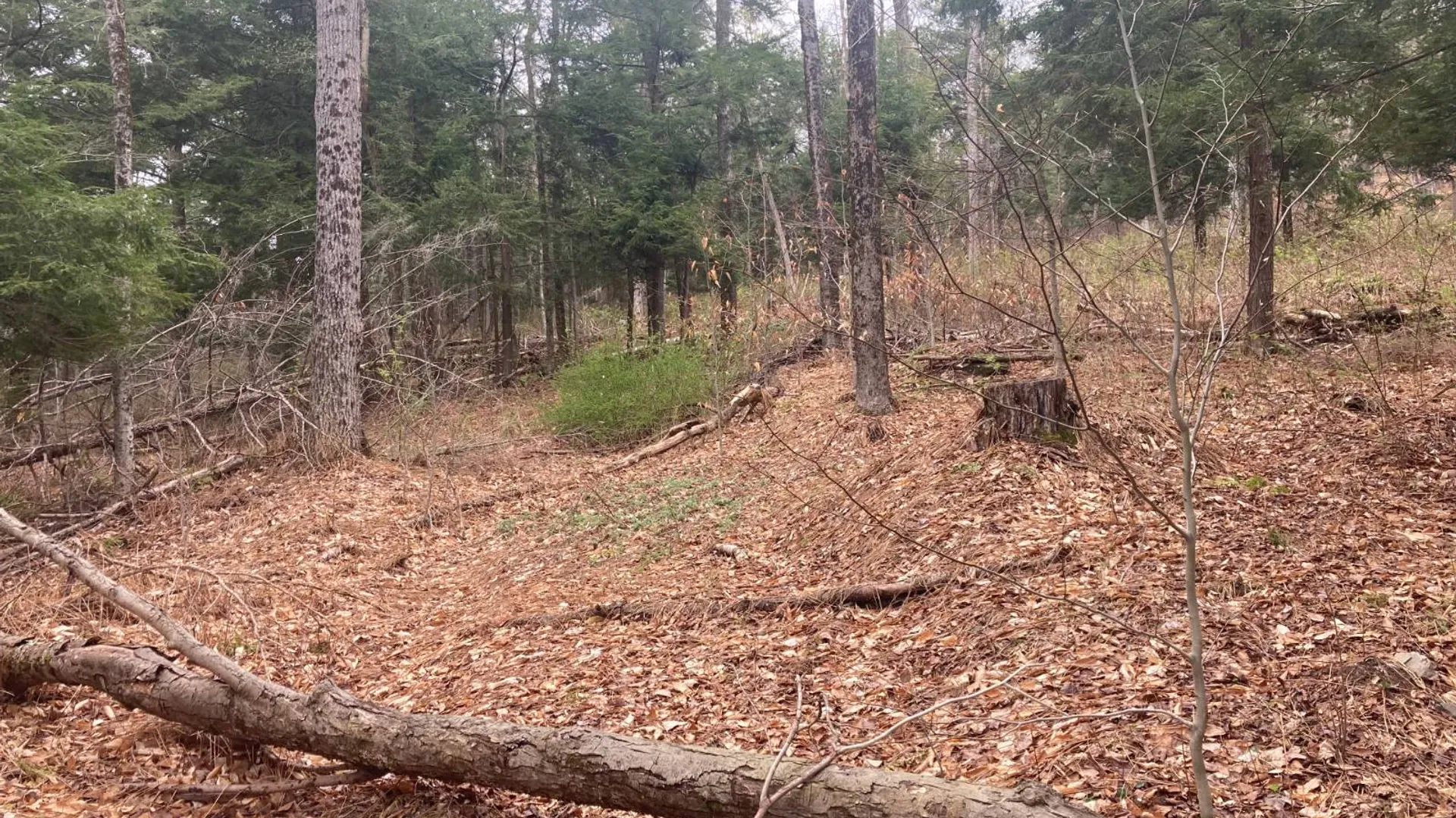 Property at 1473 Crystal Meadows Rd, Downsville, NY 13782 14