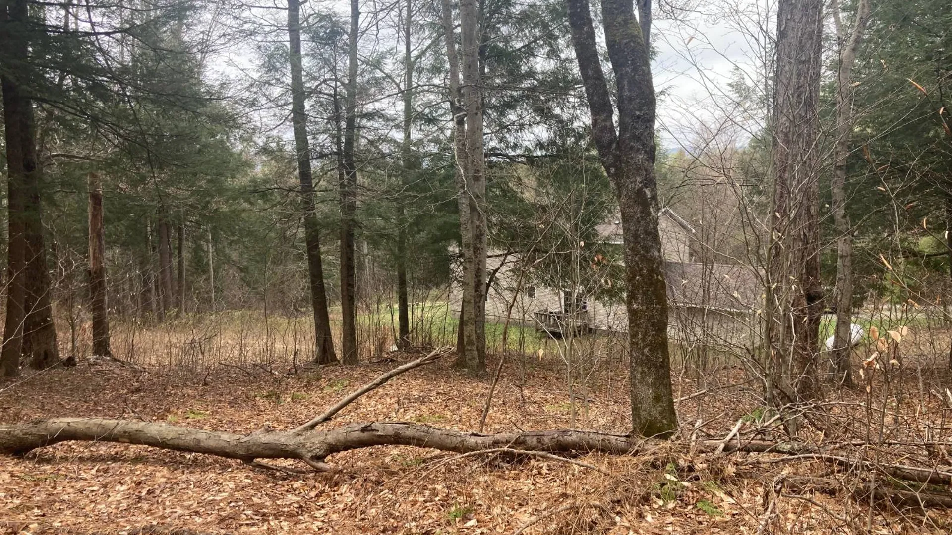 Property at 1473 Crystal Meadows Rd, Downsville, NY 13782 15