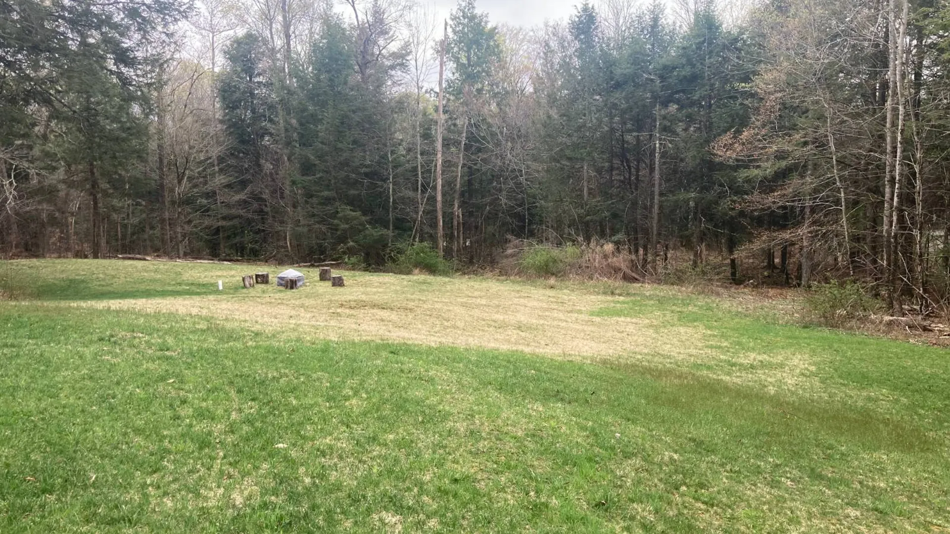 Property at 1473 Crystal Meadows Rd, Downsville, NY 13782 9