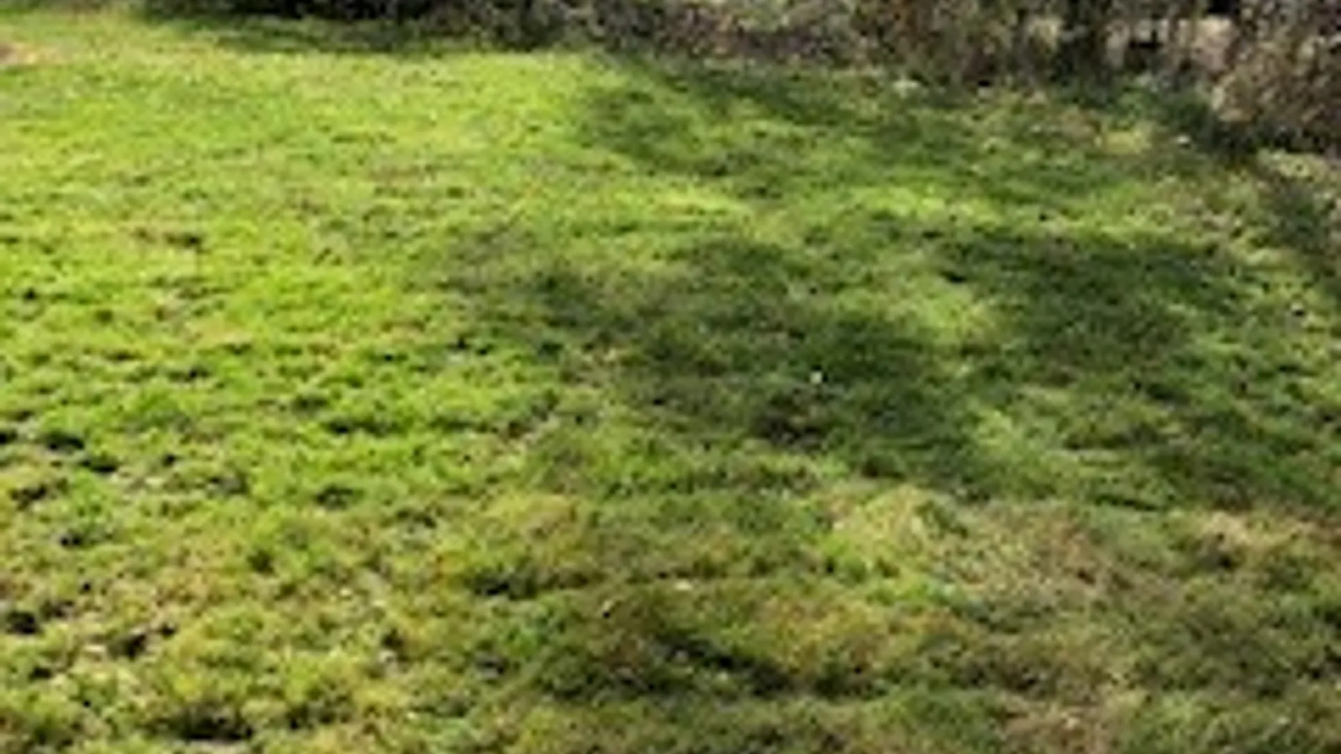 Property at 2921 US Route 11, Mexico, NY 13131 24