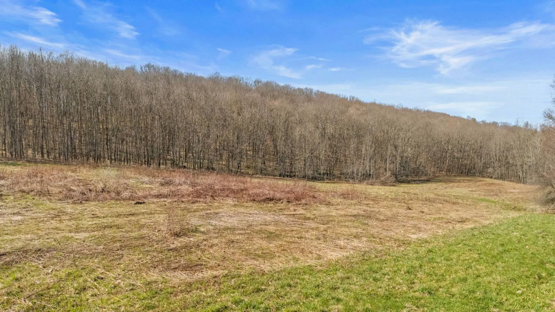 Property at L9.111 Lutheranville Rd, Summit, NY 12175 11