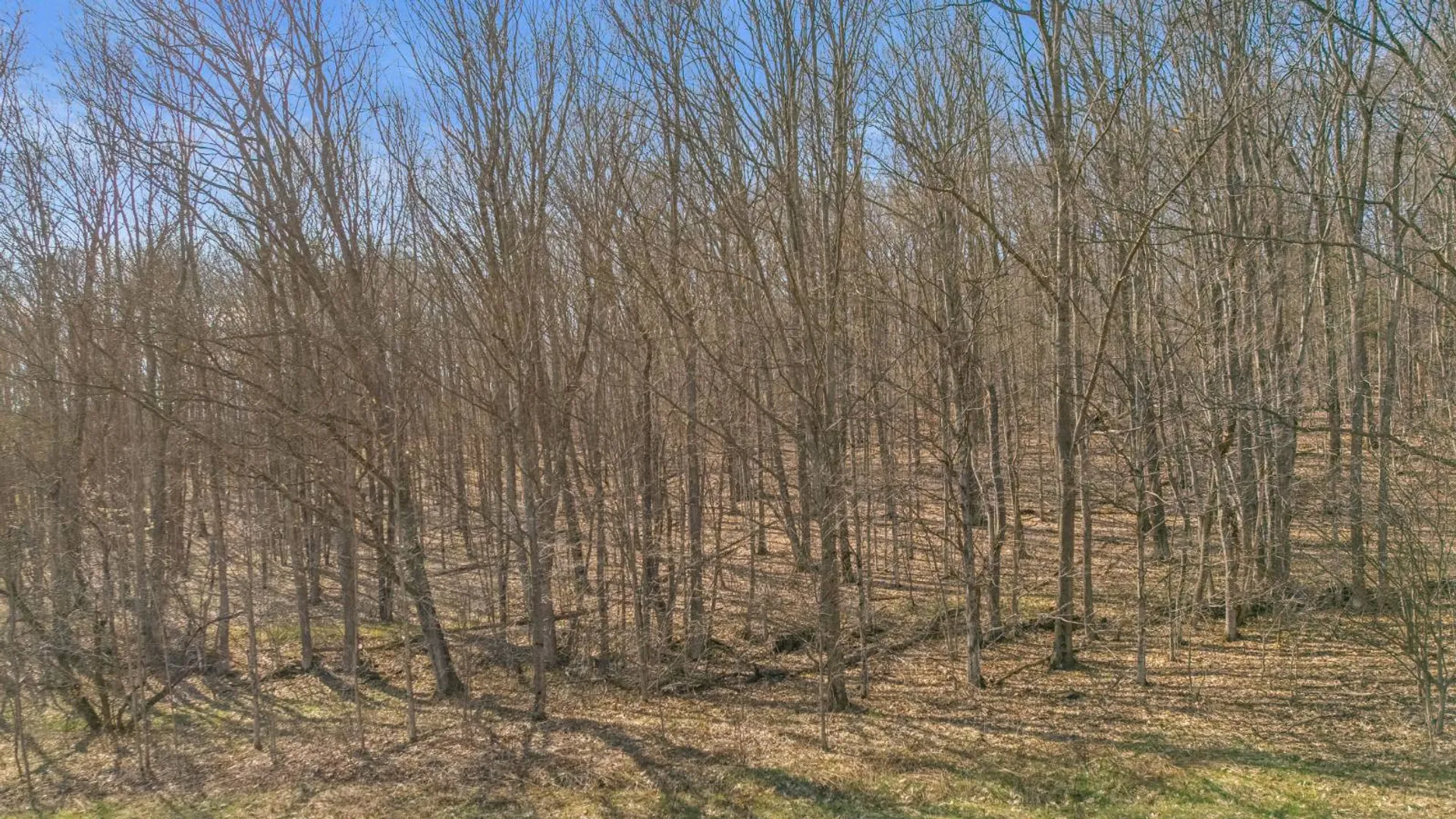 Property at L9.111 Lutheranville Rd, Summit, NY 12175 13