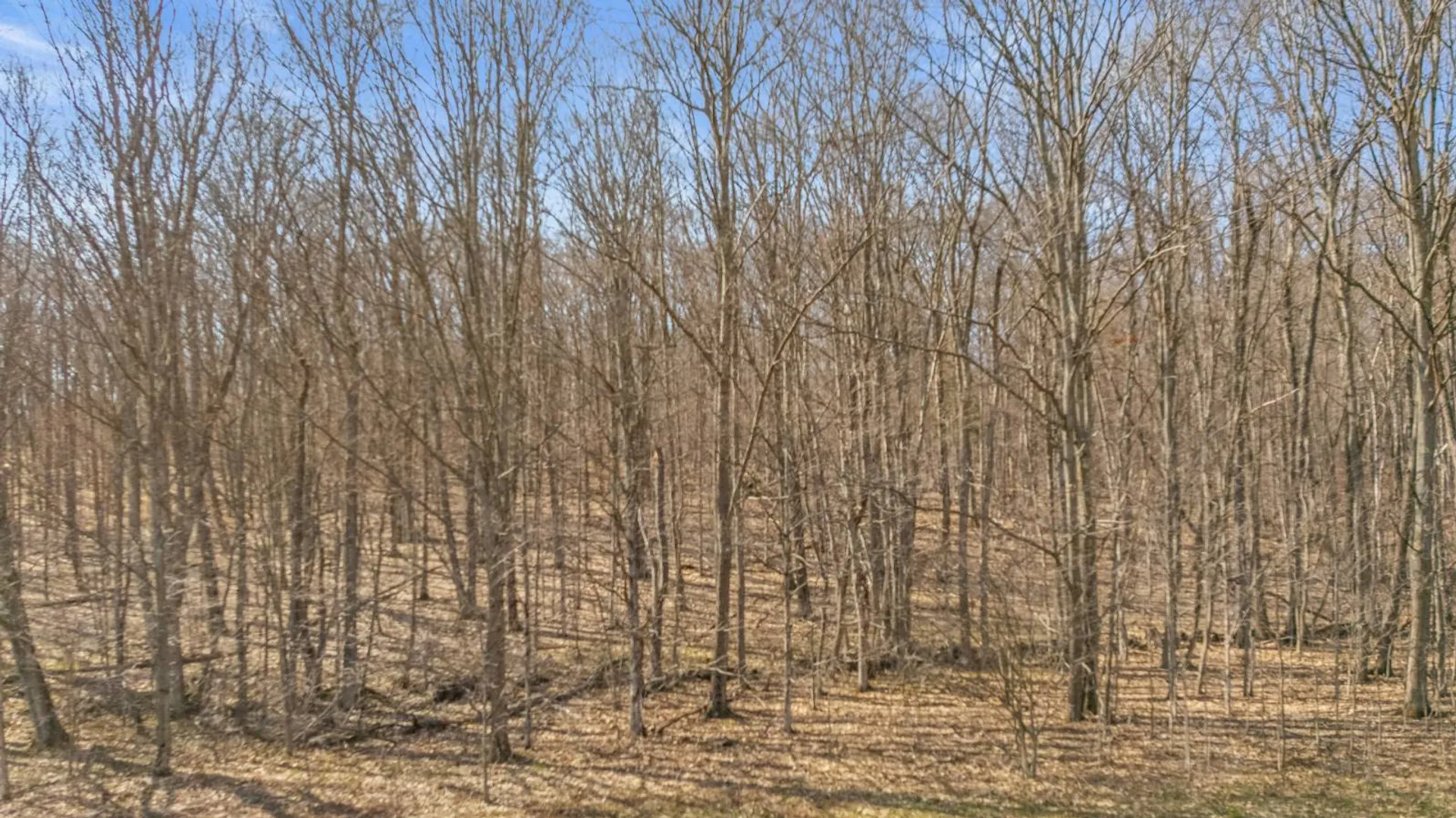 Property at L9.111 Lutheranville Rd, Summit, NY 12175 15