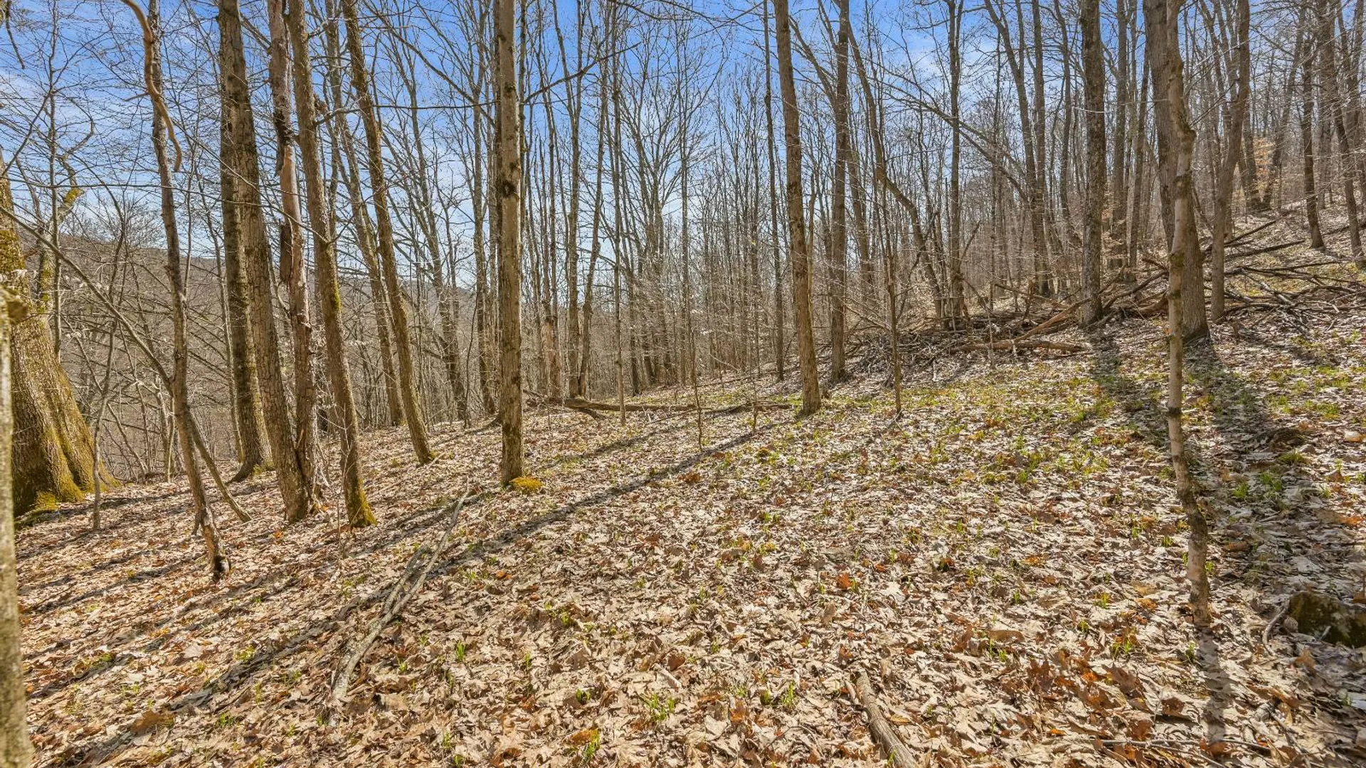 Property at L9.113 Lutheranville Rd, Summit, NY 12175 10