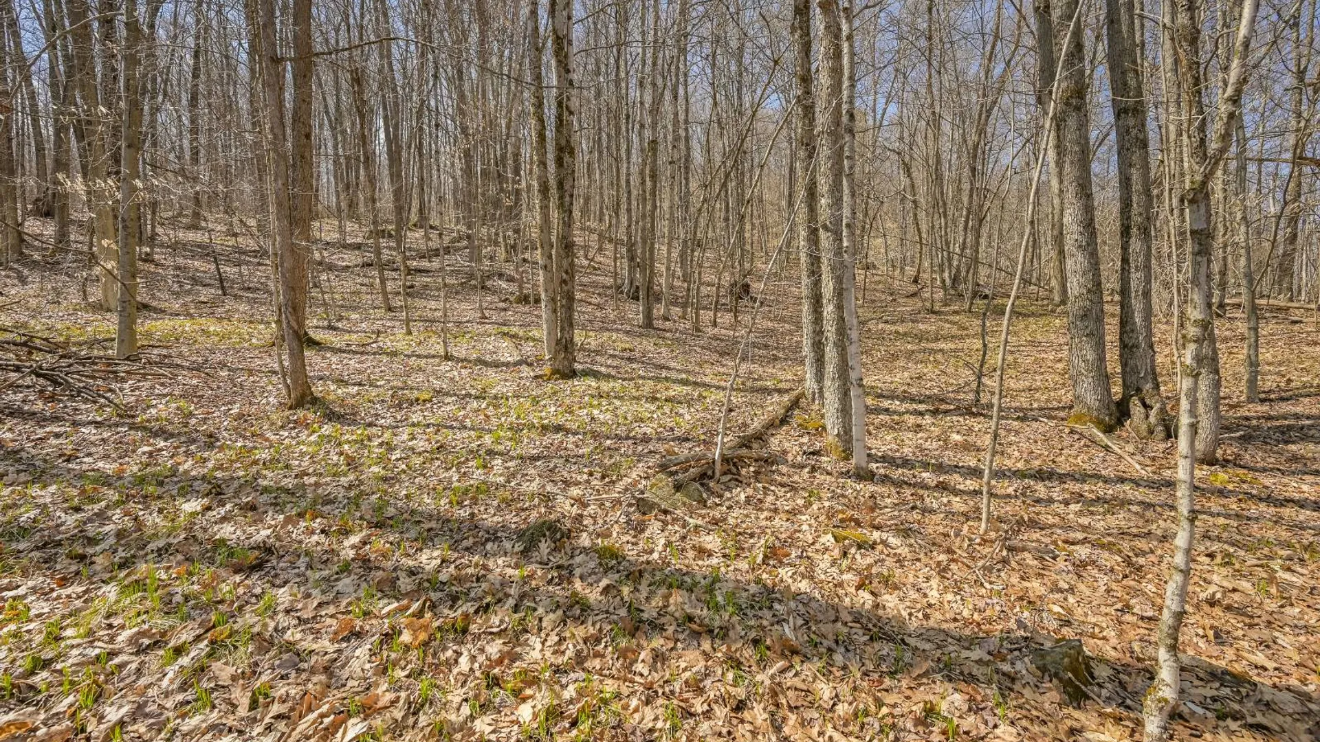 Property at L9.113 Lutheranville Rd, Summit, NY 12175 11