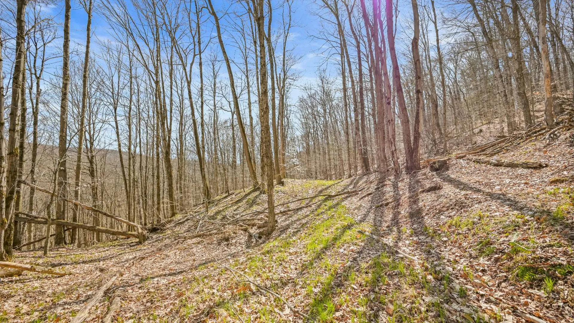 Property at L9.113 Lutheranville Rd, Summit, NY 12175 12