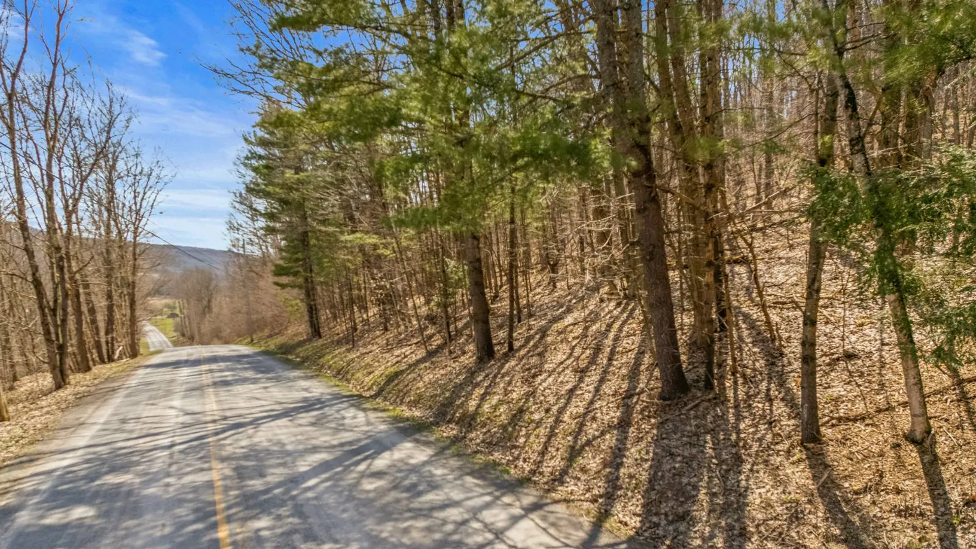 Property at L9.113 Lutheranville Rd, Summit, NY 12175 13