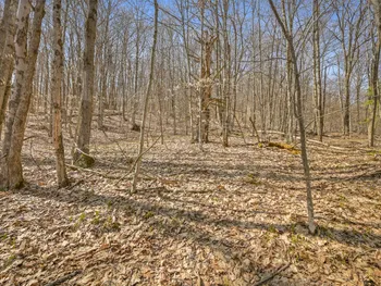 Property at L9.113 Lutheranville Rd, Summit, NY 12175