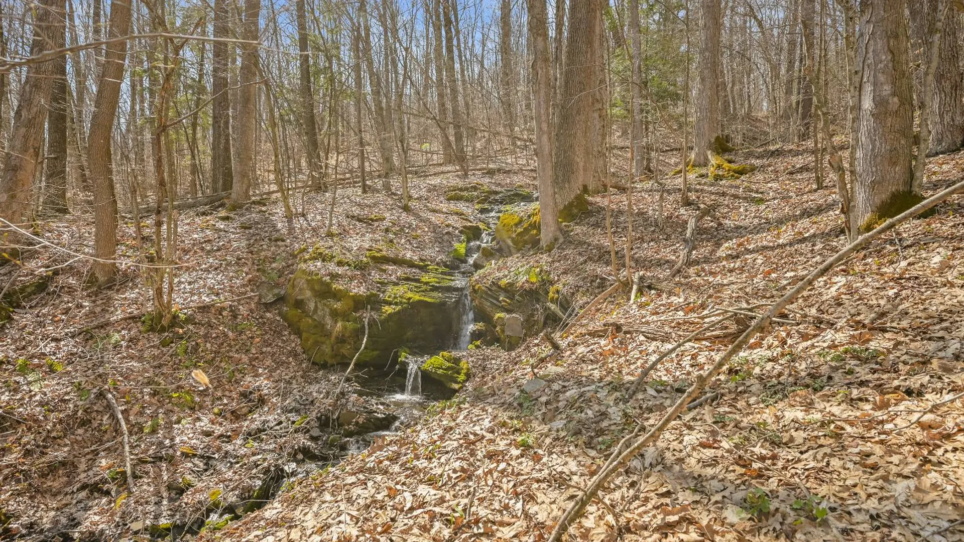 Property at L9.113 Lutheranville Rd, Summit, NY 12175 2