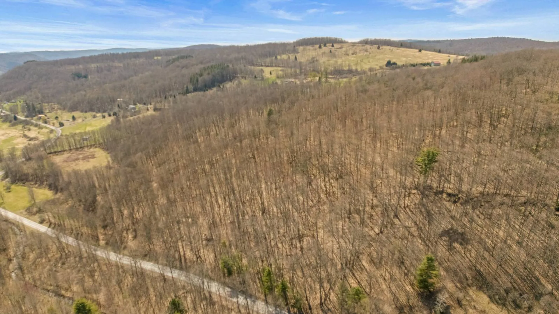 Property at L9.113 Lutheranville Rd, Summit, NY 12175 3