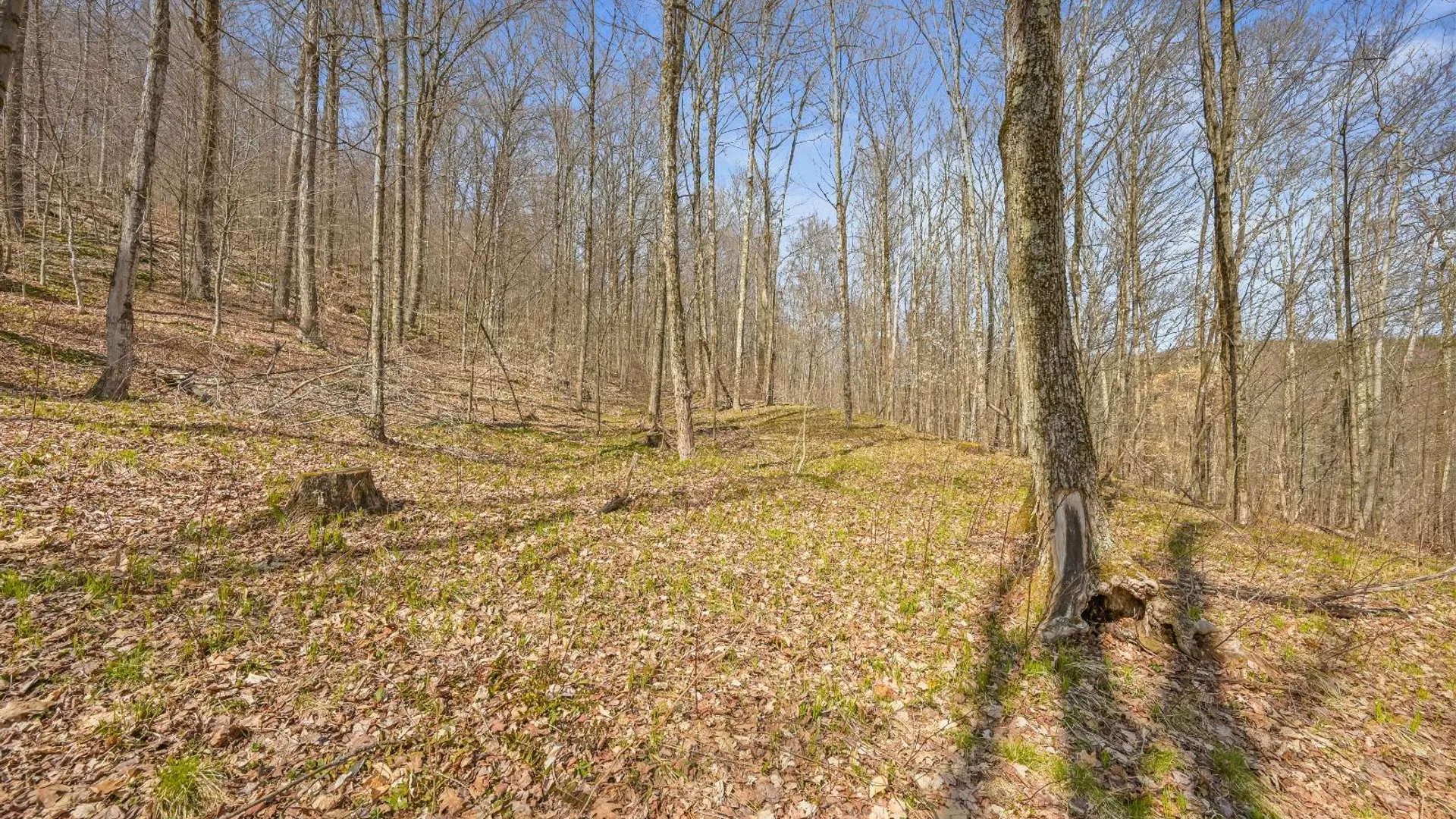 Property at L9.113 Lutheranville Rd, Summit, NY 12175 7