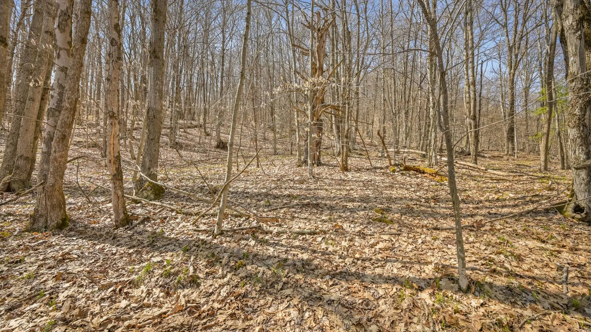 Property at L9.113 Lutheranville Rd, Summit, NY 12175 9