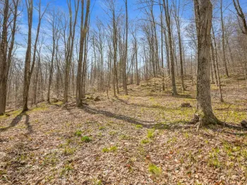 Property at L9.114 Lutheranville Rd, Summit, NY 12064