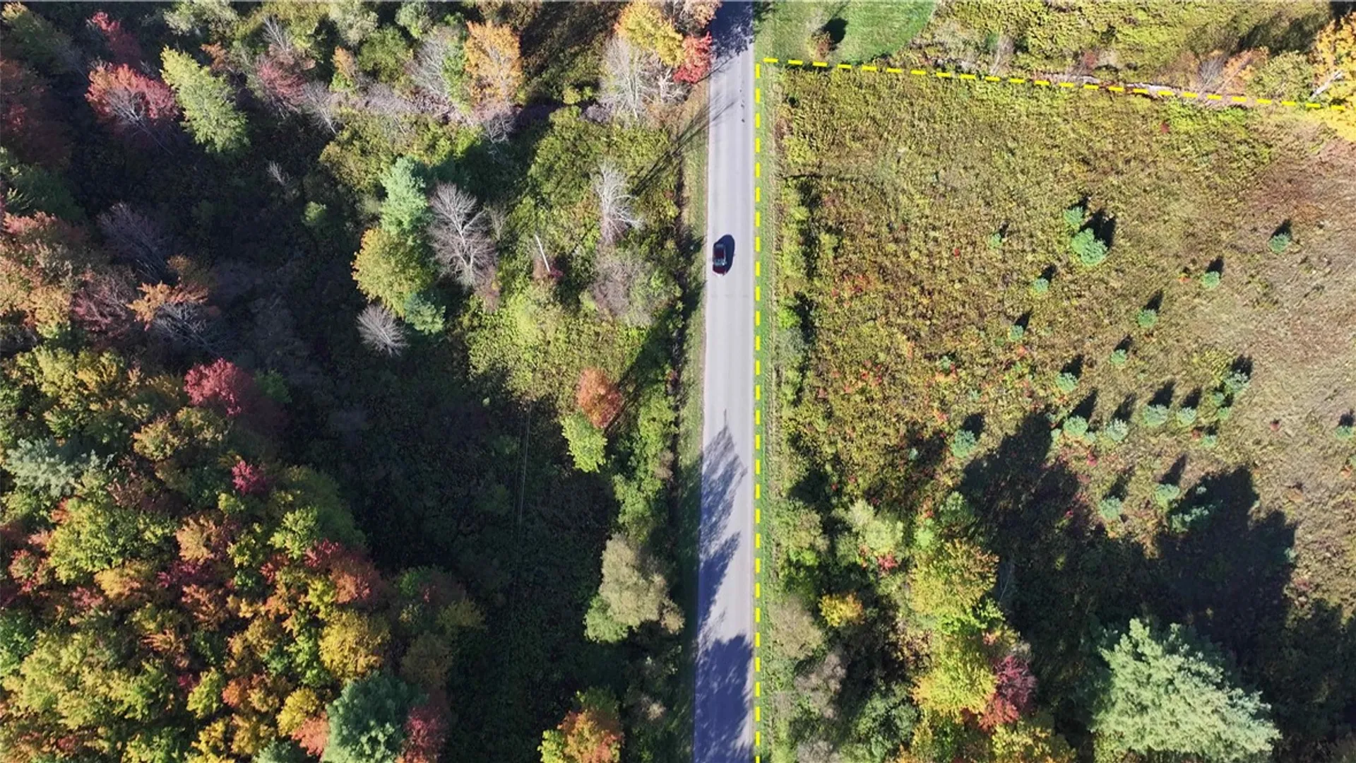 Property at 280 White Road, Parish, NY 13131 11