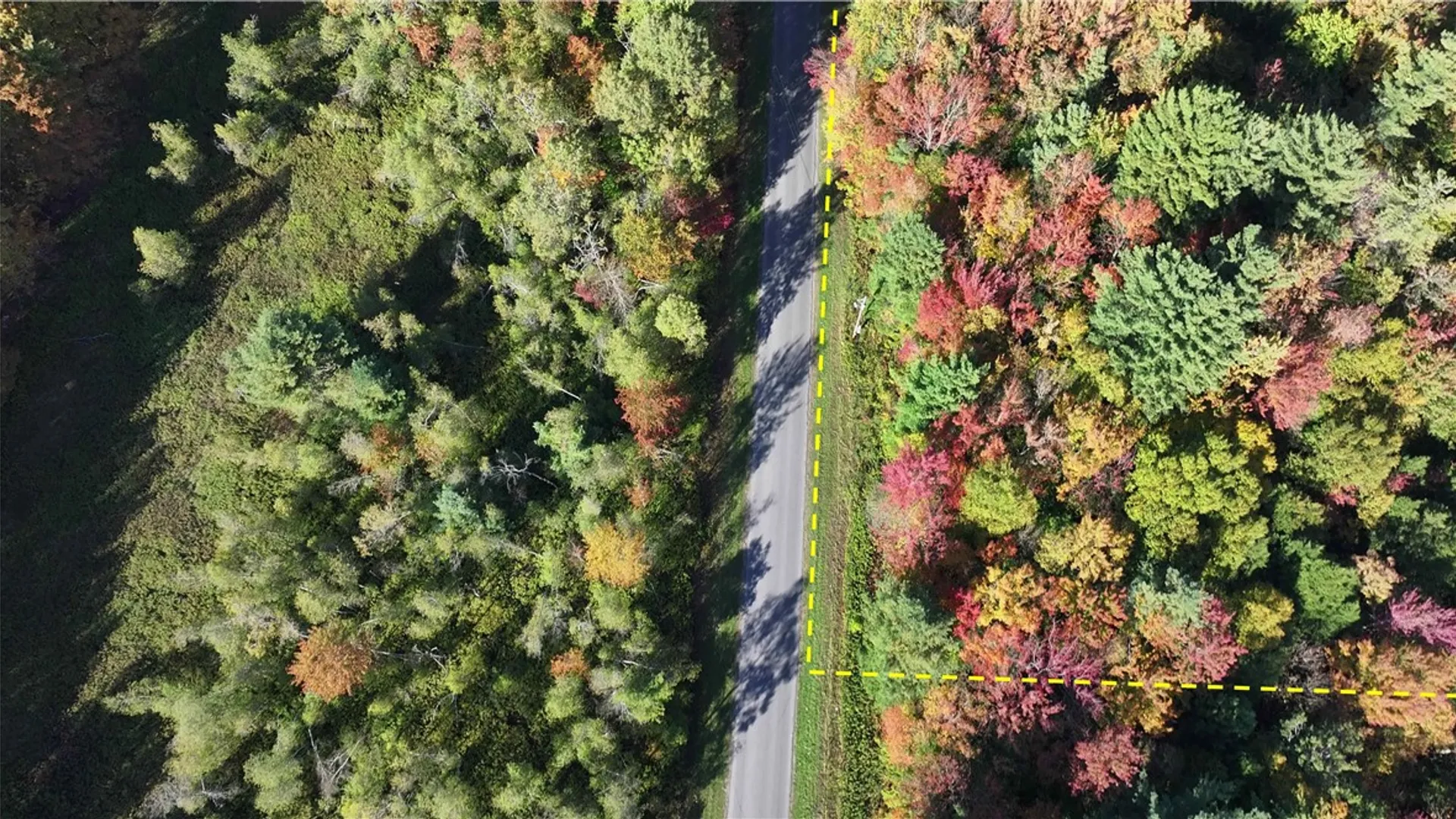 Property at 280 White Road, Parish, NY 13131 12