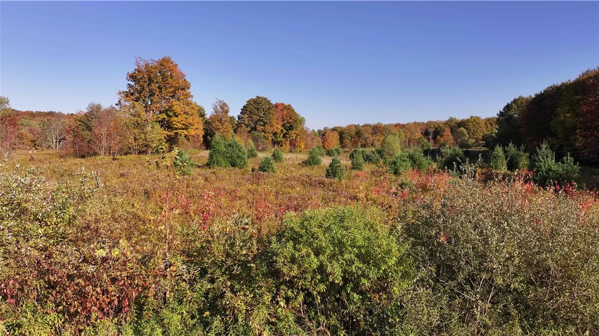 Property at 280 White Road, Parish, NY 13131 17