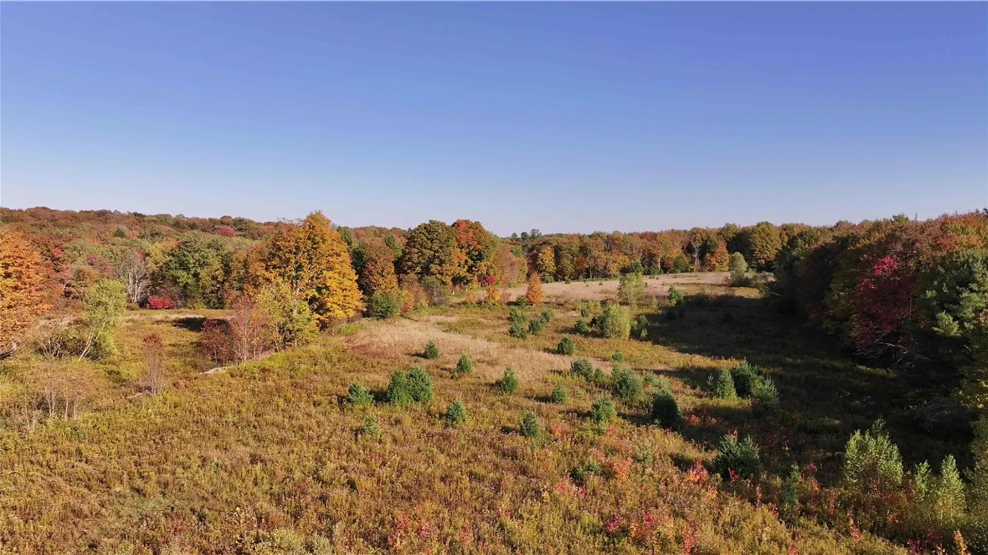 Property at 280 White Road, Parish, NY 13131 18